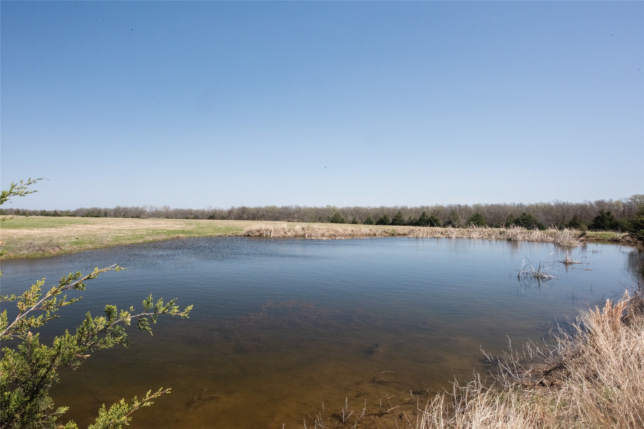 TBD FM 824, Honey Grove, TX, 75446