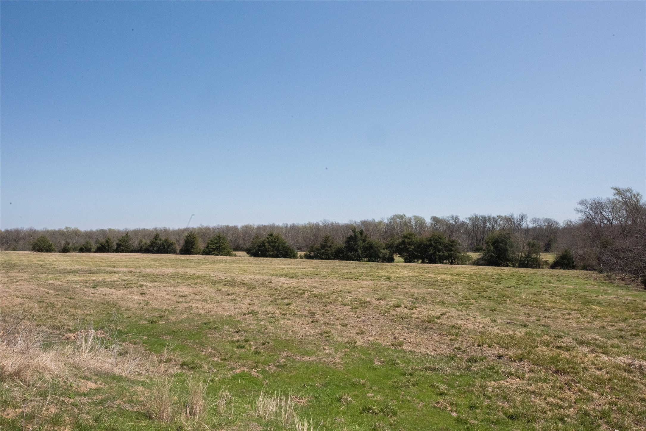 TBD FM 824, Honey Grove, TX, 75446