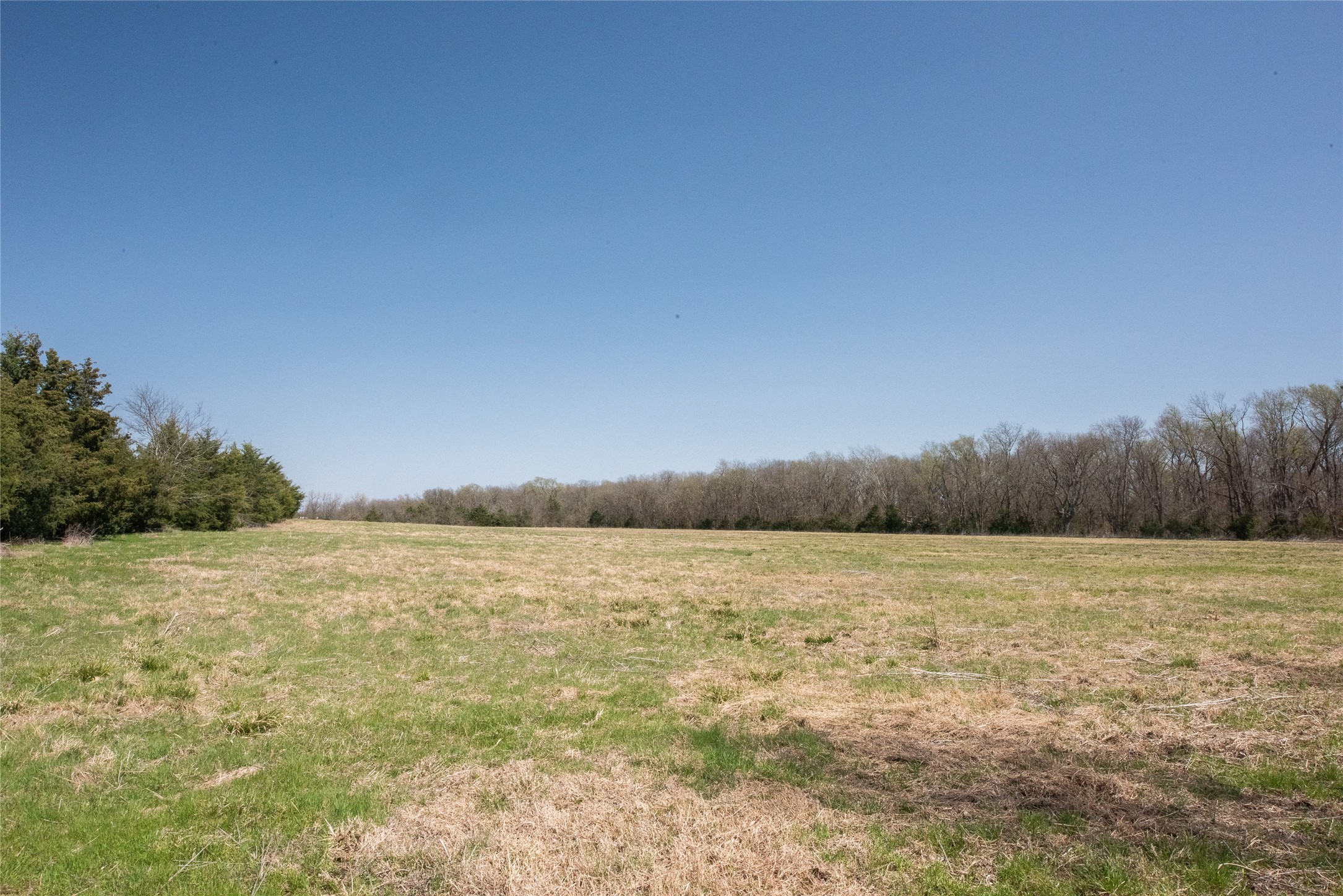 TBD FM 824, Honey Grove, TX, 75446