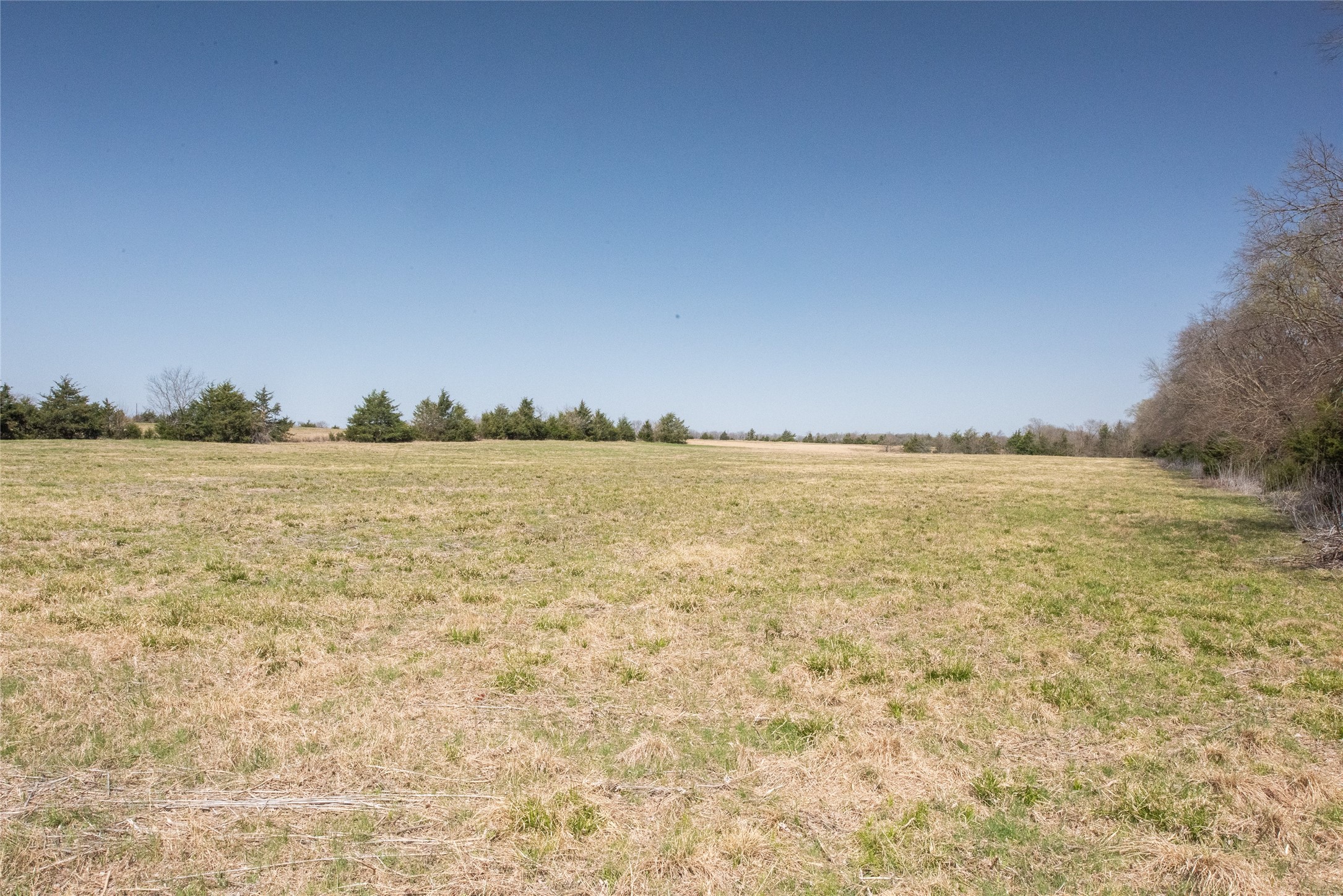 TBD FM 824, Honey Grove, TX, 75446