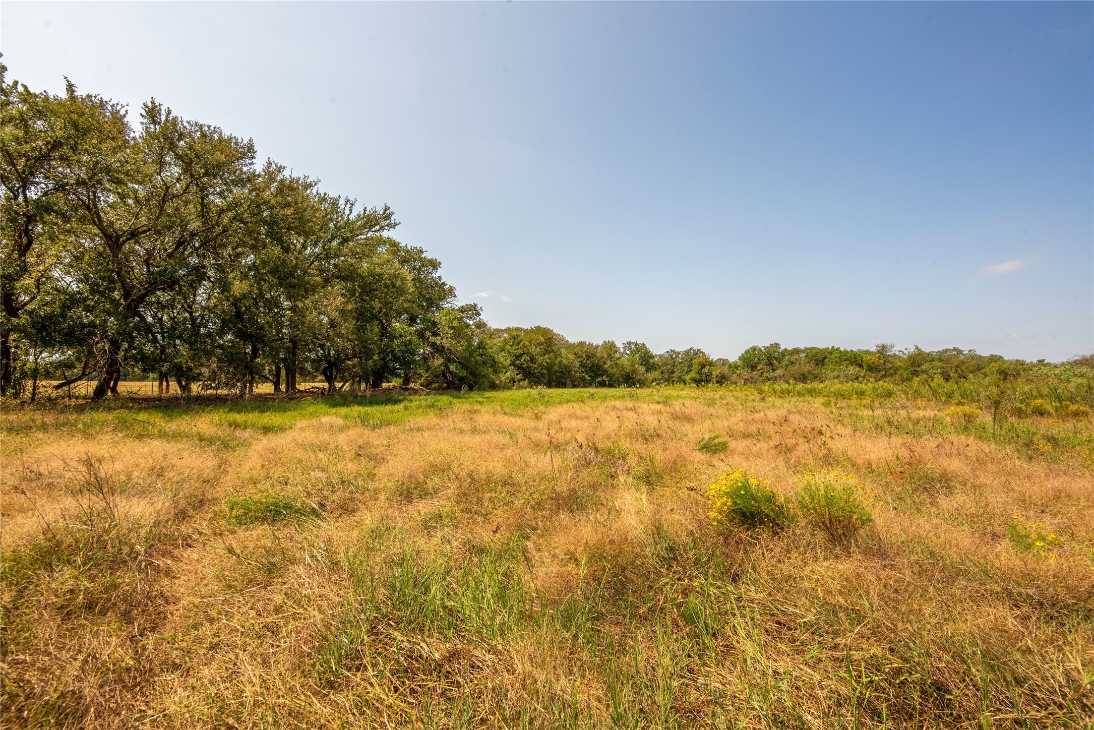 7435 County Road 265, Dublin, TX, 76446