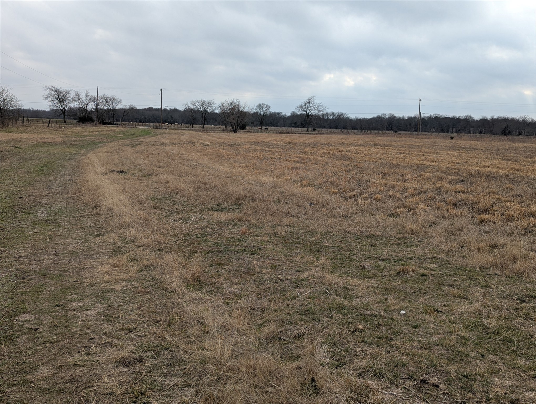 4701 FM 512, Commerce, TX, 75428