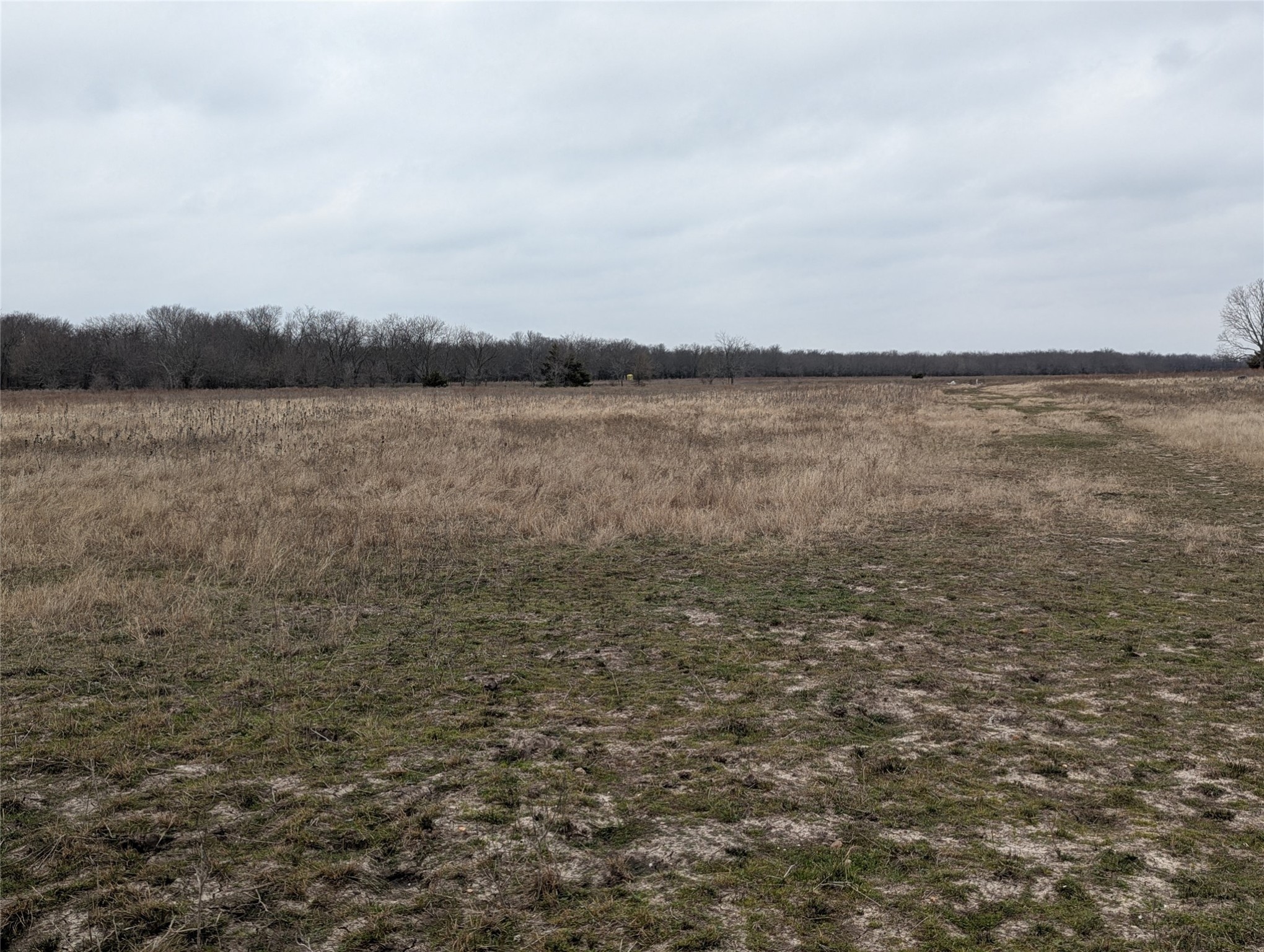 4701 FM 512, Commerce, TX, 75428