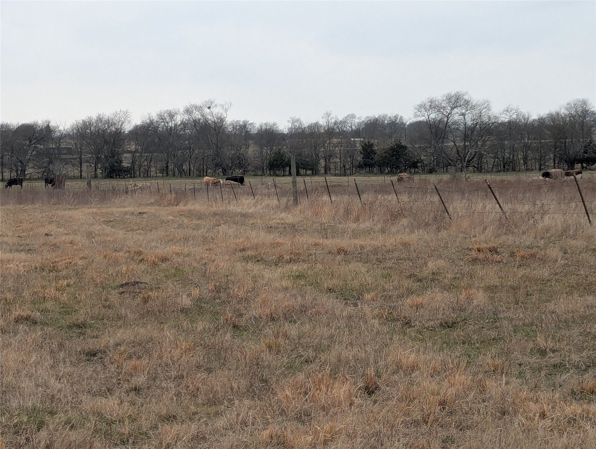 4701 FM 512, Commerce, TX, 75428
