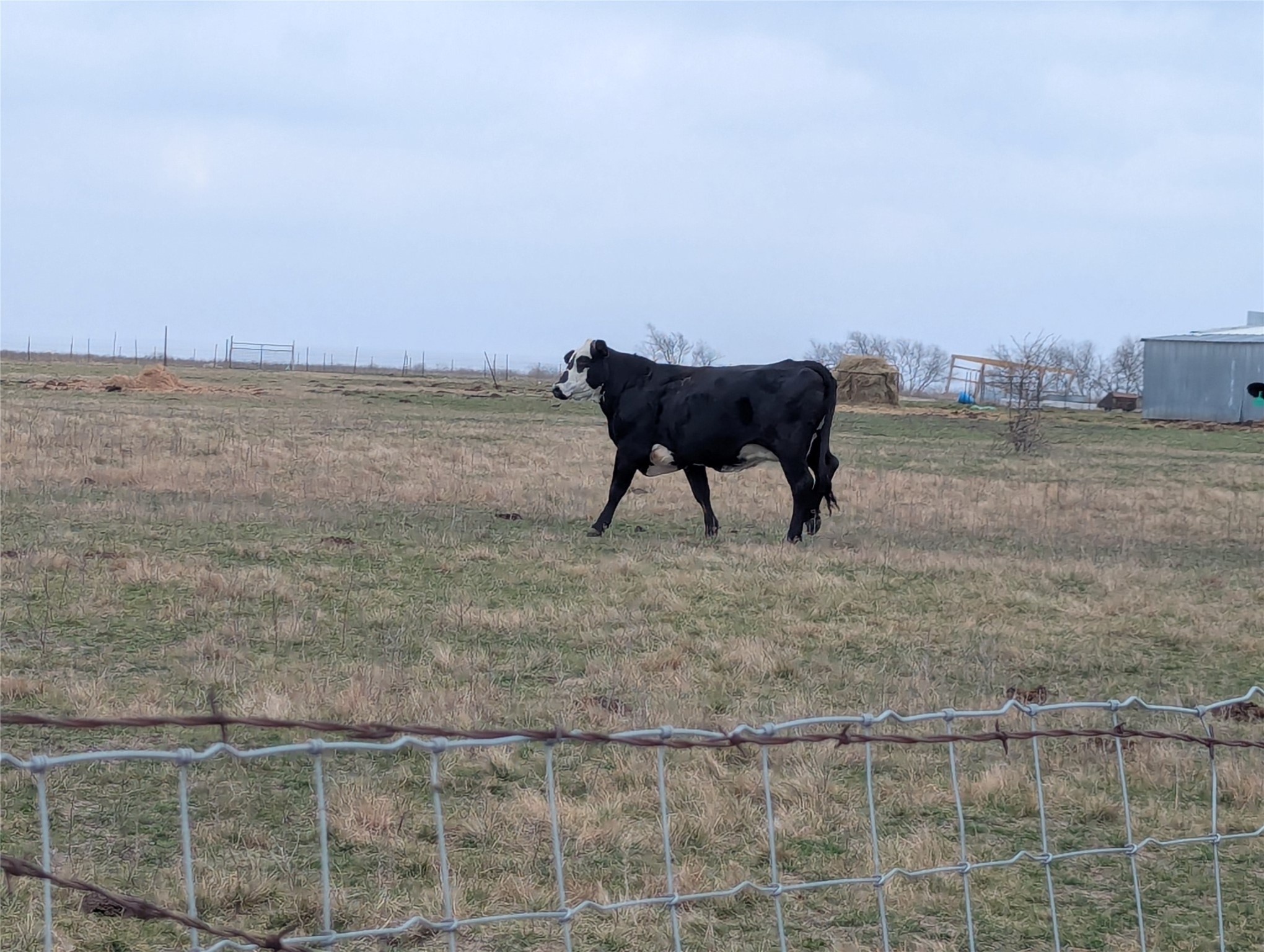 4701 FM 512, Commerce, TX, 75428