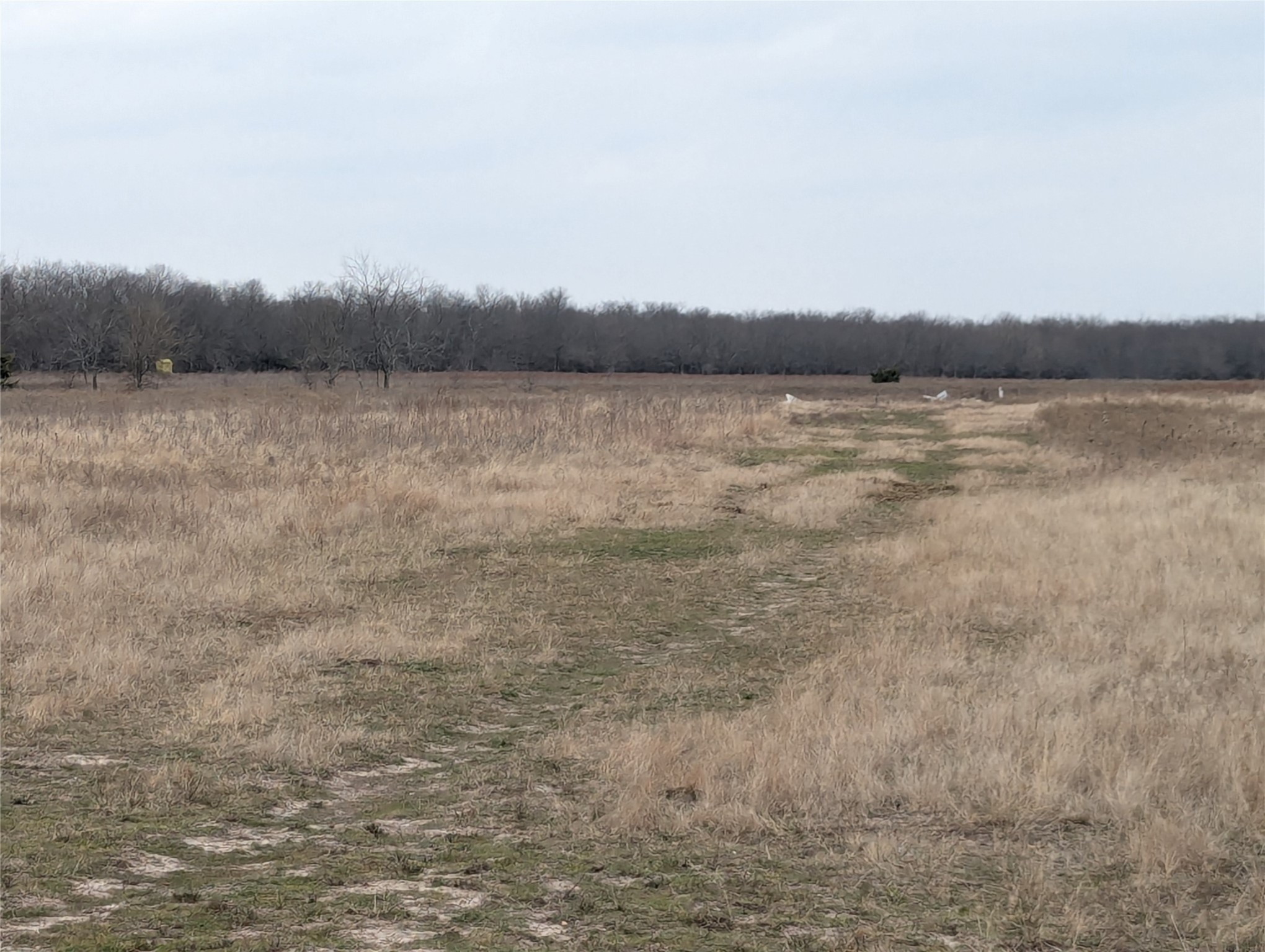 4701 FM 512, Commerce, TX, 75428