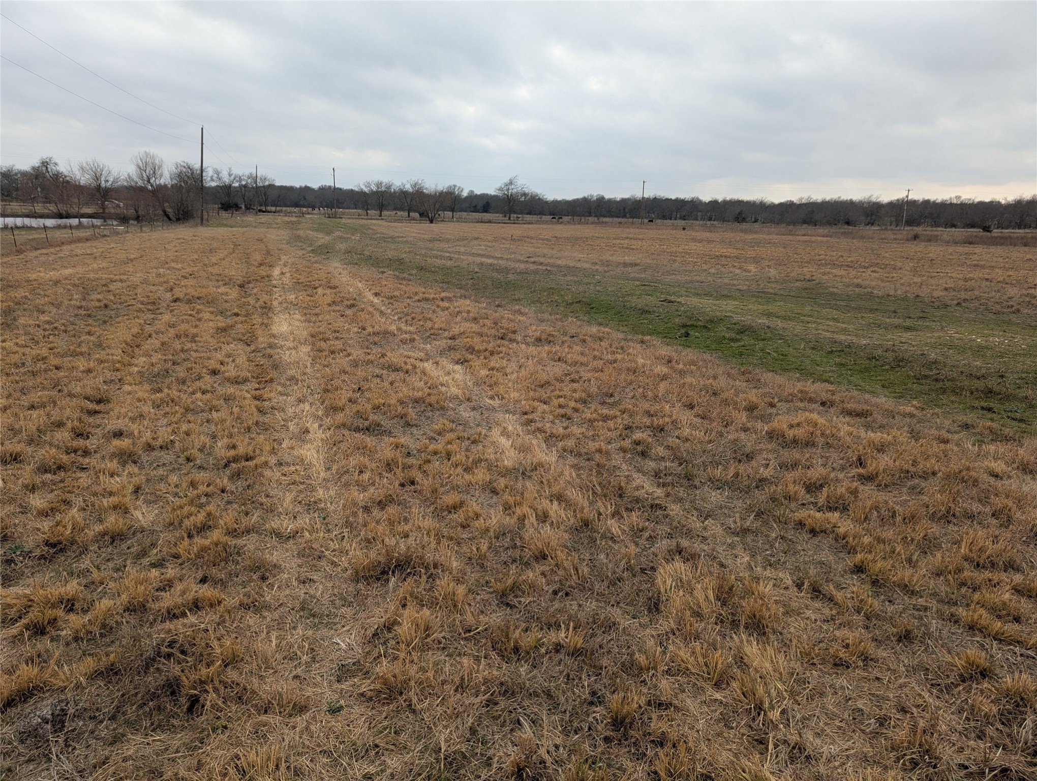 4701 FM 512, Commerce, TX, 75428