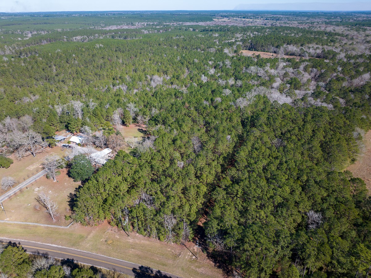 3320 Farm to Market 3065, Colmesneil, TX, 75938