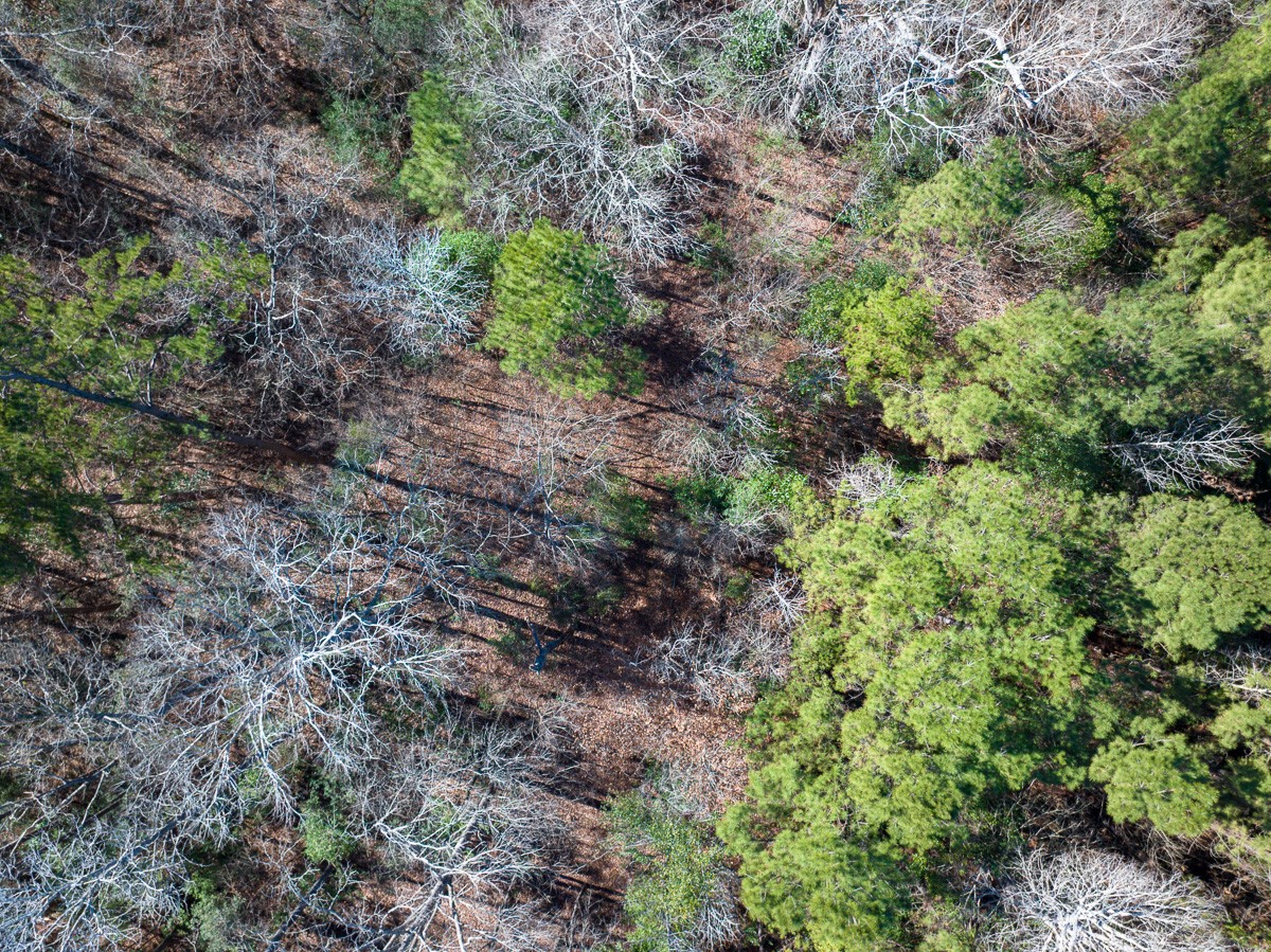 3320 Farm to Market 3065, Colmesneil, TX, 75938