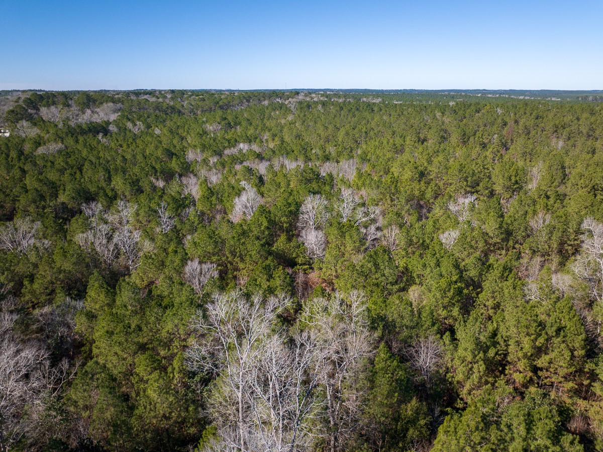 3320 Farm to Market 3065, Colmesneil, TX, 75938