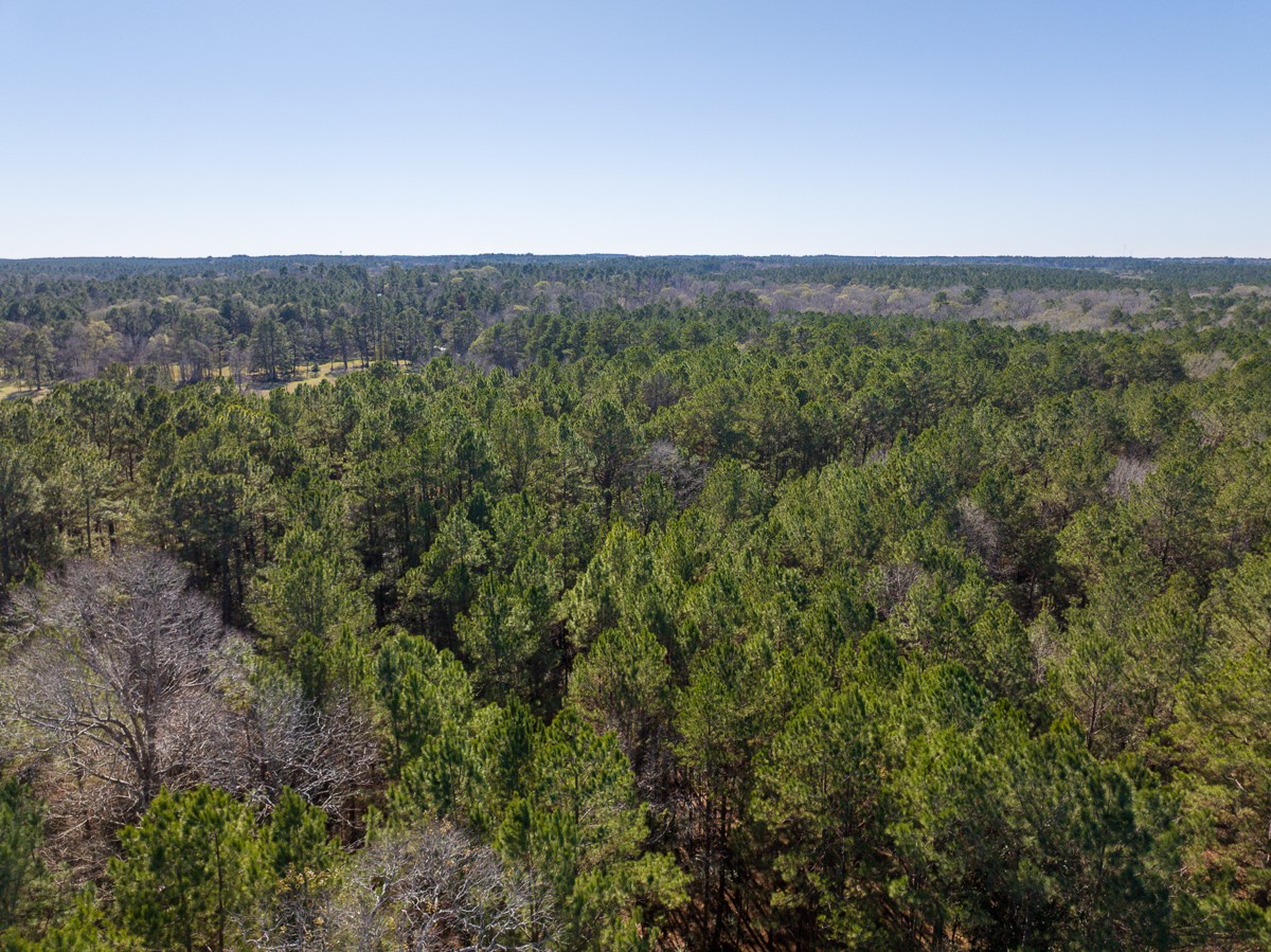 3320 Farm to Market 3065, Colmesneil, TX, 75938