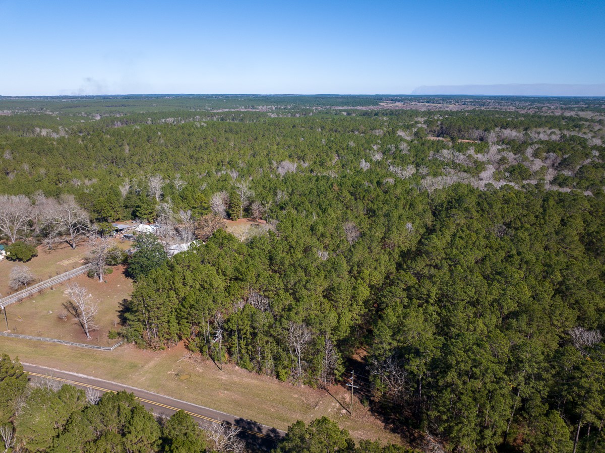 3320 Farm to Market 3065, Colmesneil, TX, 75938