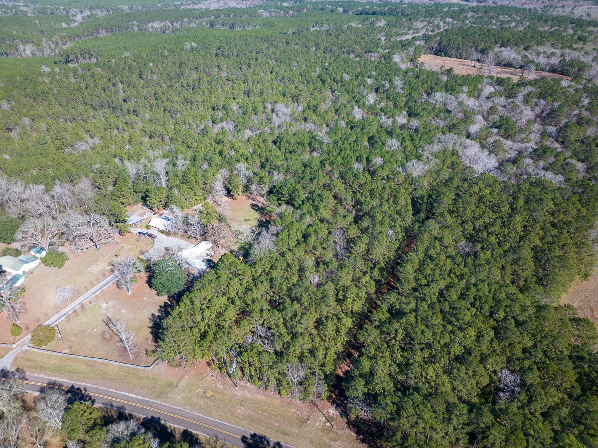 3320 Farm to Market 3065, Colmesneil, TX, 75938