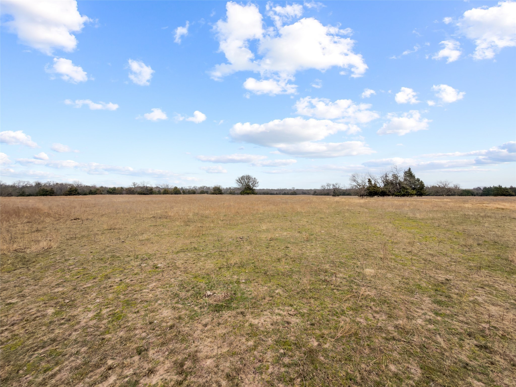 Property photo 01 of Tract 3 County Road 1255, Savoy, TX 75479 | MLS #21146378