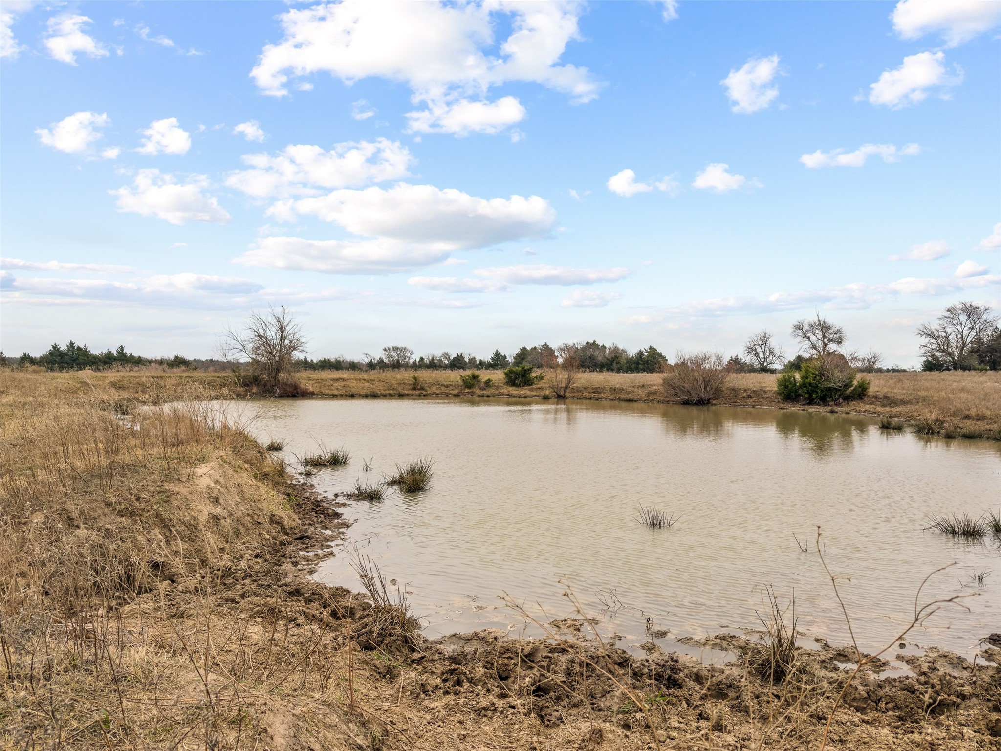 Property photo 03 of Tract 3 County Road 1255, Savoy, TX 75479 | MLS #21146378