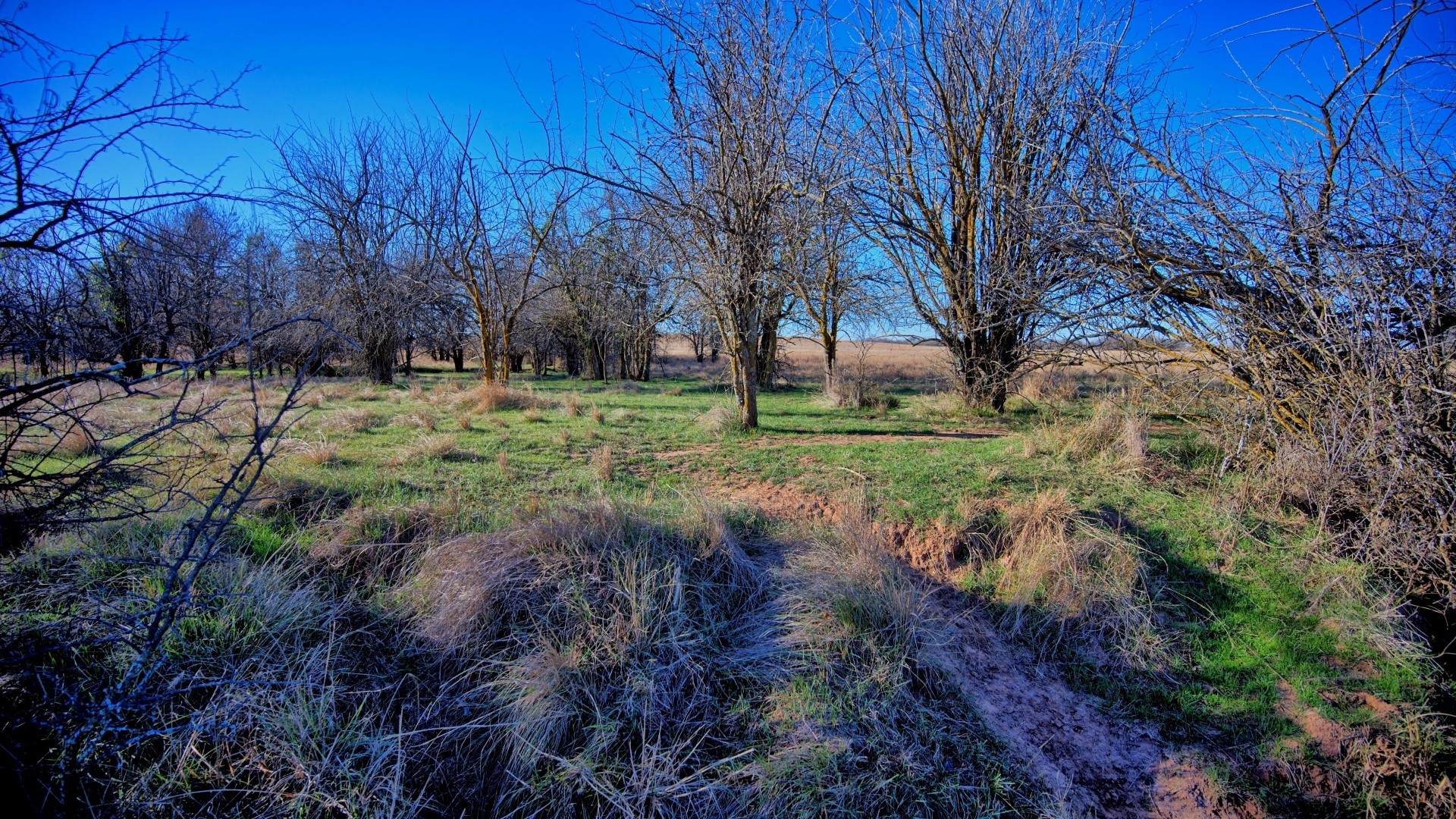 TBD HWY 148, Petrolia, TX, 76377