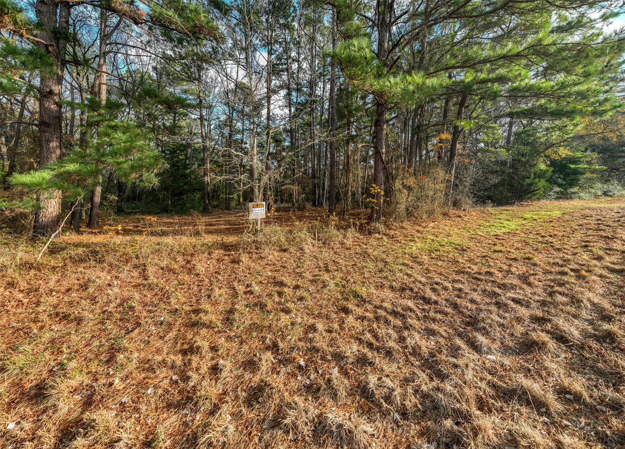 0 State Highway 155, Palestine, TX, 75803