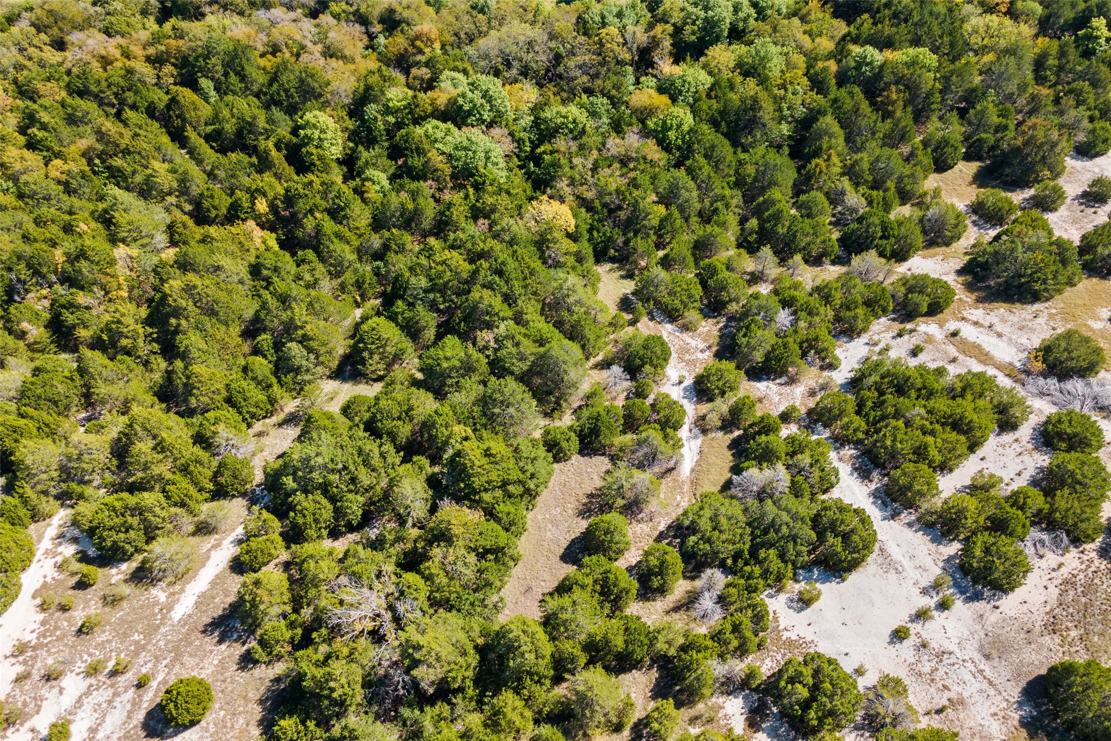 Property photo 04 of 1198 S Clark Road, Cedar Hill, TX 75104 | MLS #21148862