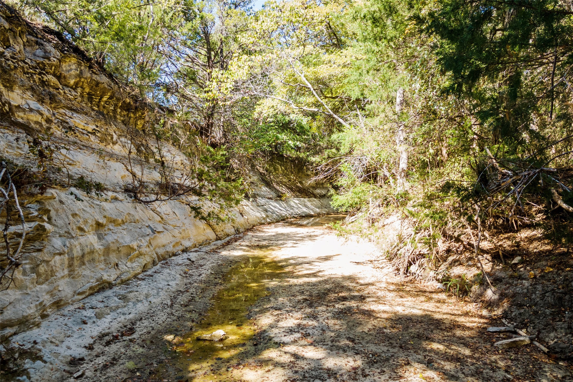 1198 S Clark Road, Cedar Hill, TX, 75104