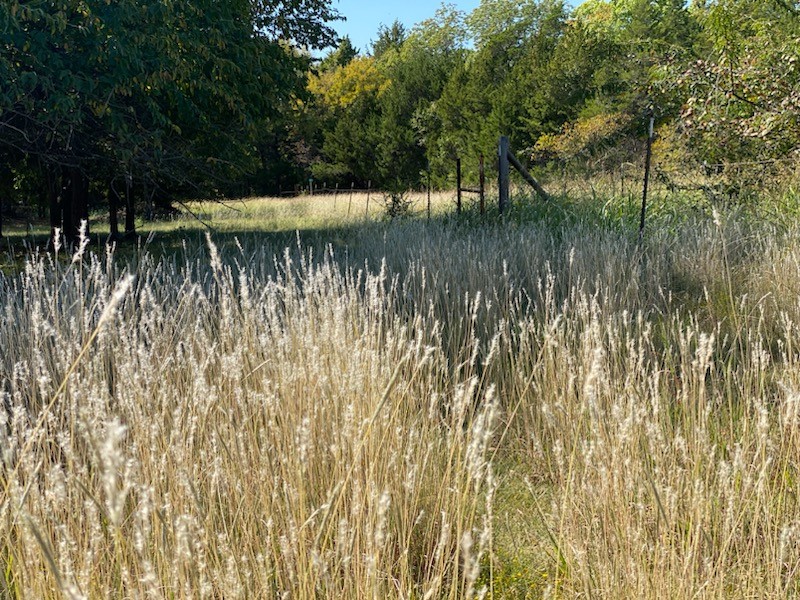 1198 S Clark Road, Cedar Hill, TX, 75104