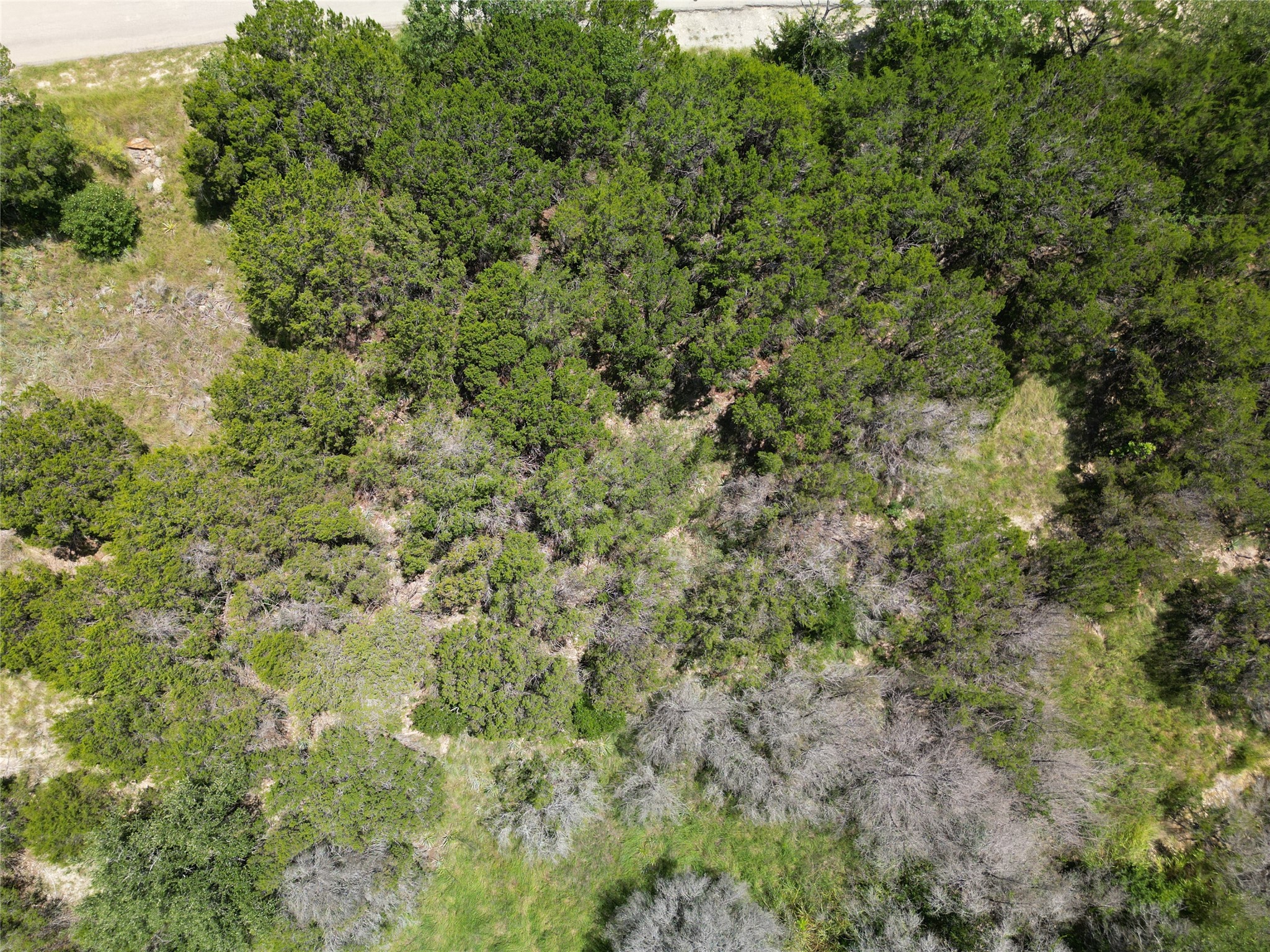 2617 Steepleridge Circle, Granbury, TX, 76048