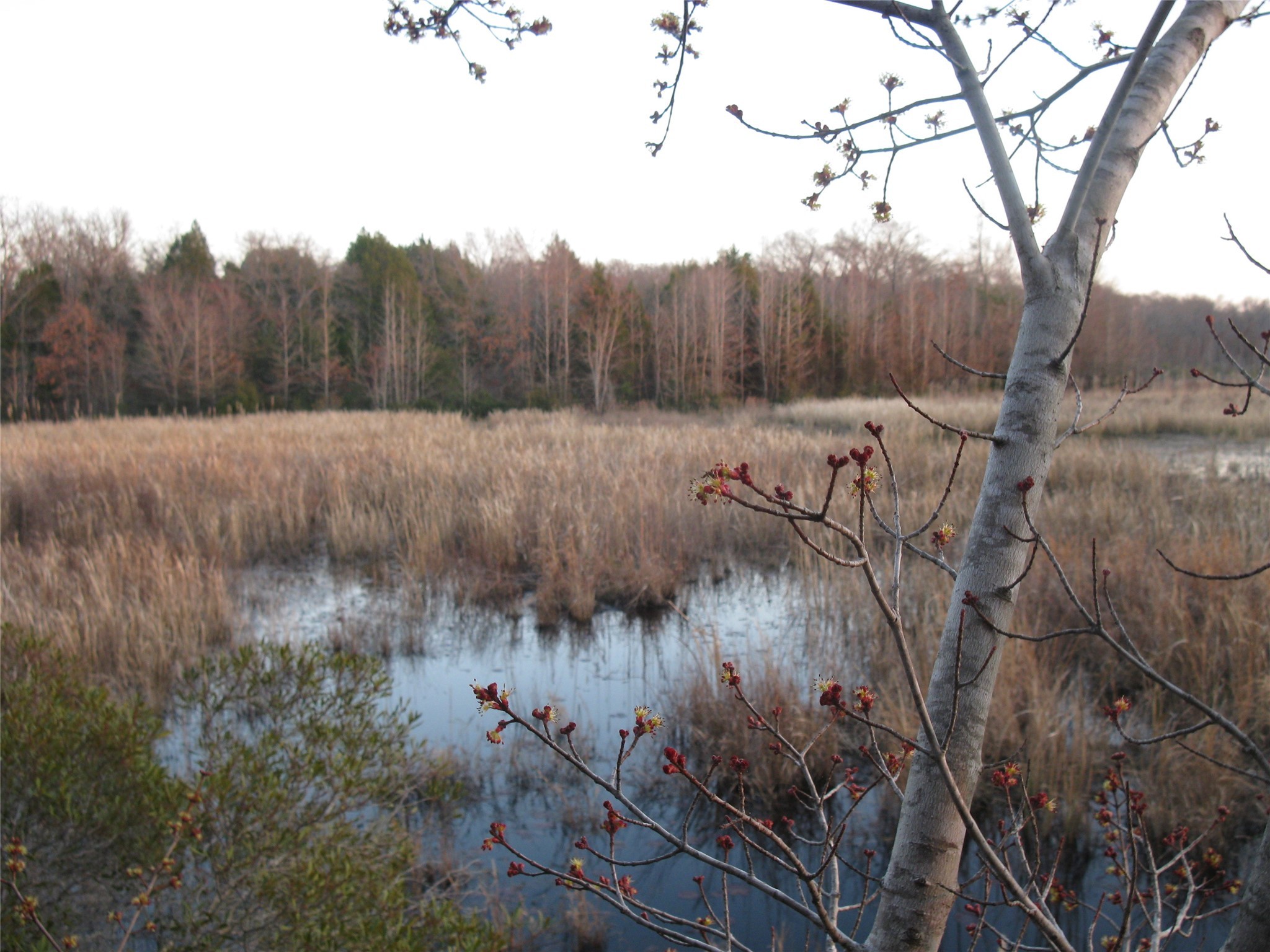 Property photo 01 of TBD 133 AC +- VZ County Road 4701 Ben, Wheeler, TX 75754 | MLS #21148997