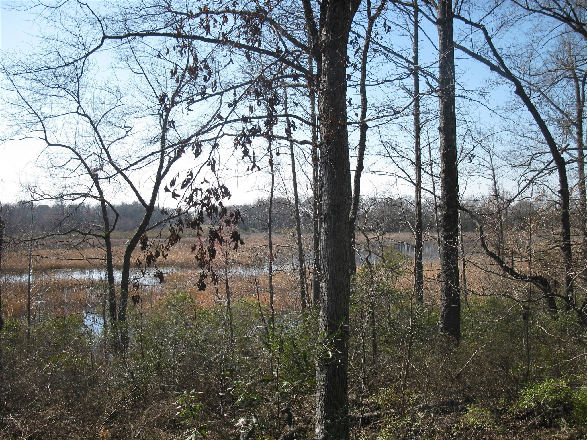 Property photo 02 of TBD 133 AC +- VZ County Road 4701 Ben, Wheeler, TX 75754 | MLS #21148997