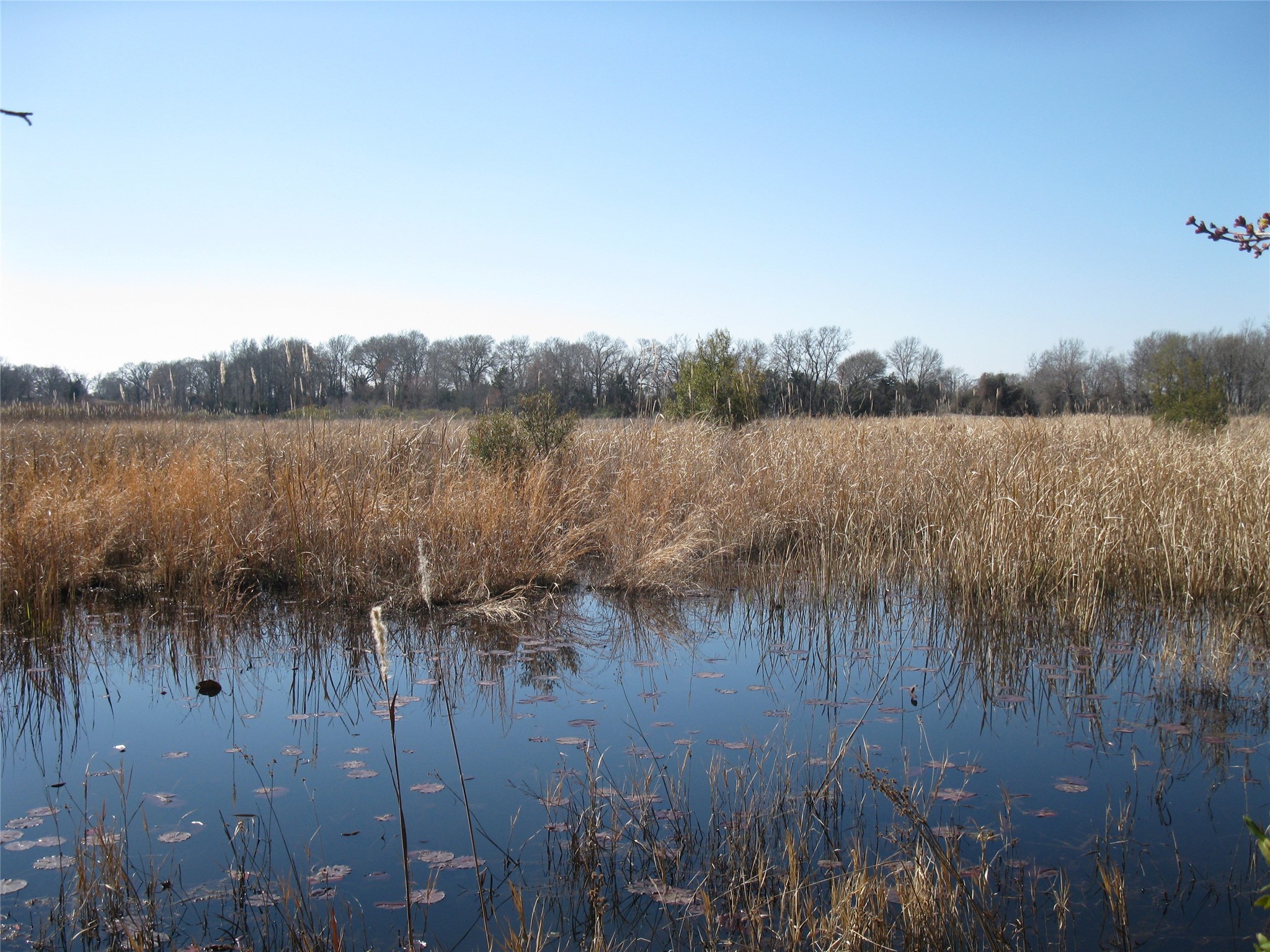 Property photo 03 of TBD 133 AC +- VZ County Road 4701 Ben, Wheeler, TX 75754 | MLS #21148997