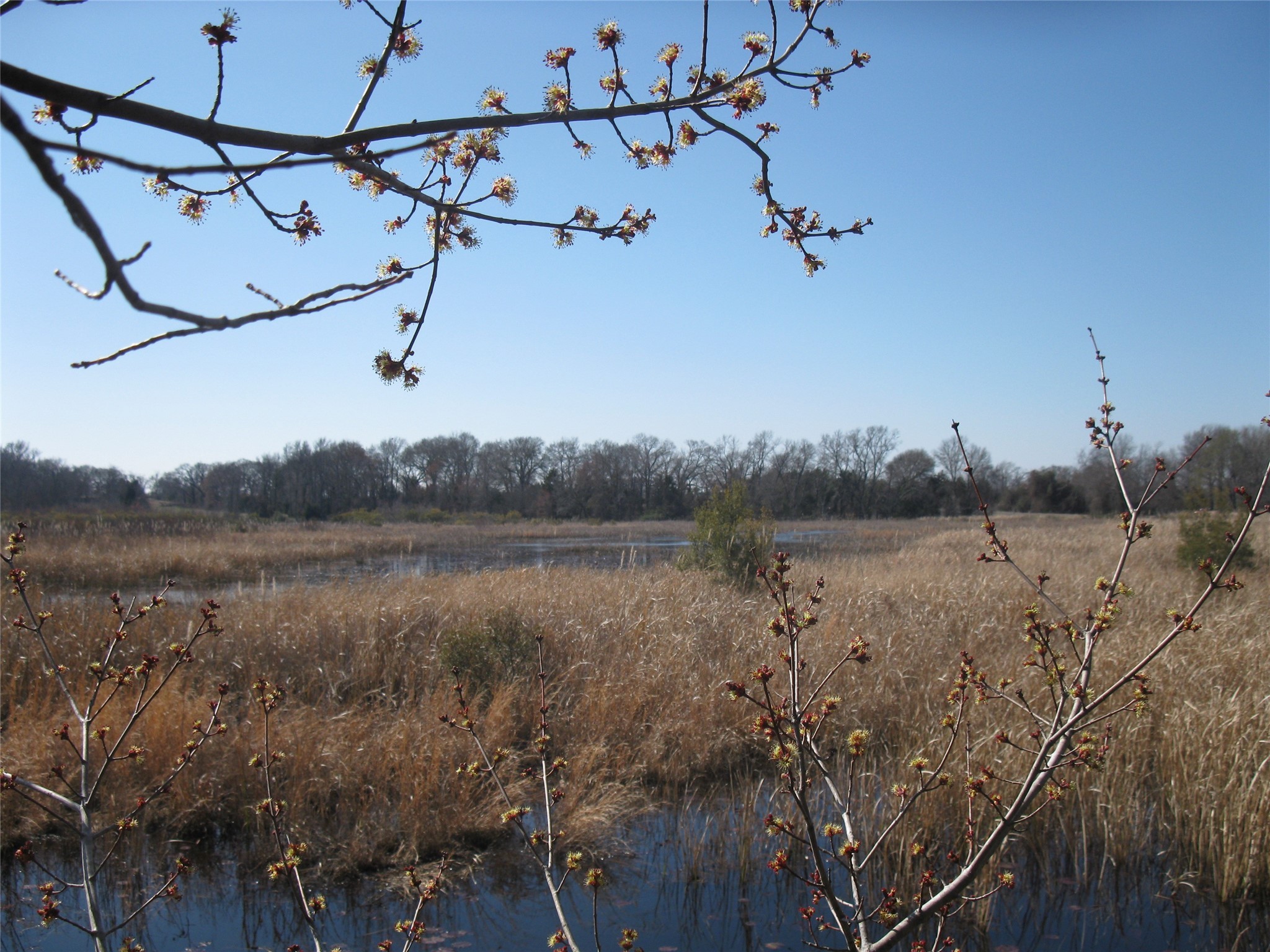 Property photo 04 of TBD 133 AC +- VZ County Road 4701 Ben, Wheeler, TX 75754 | MLS #21148997