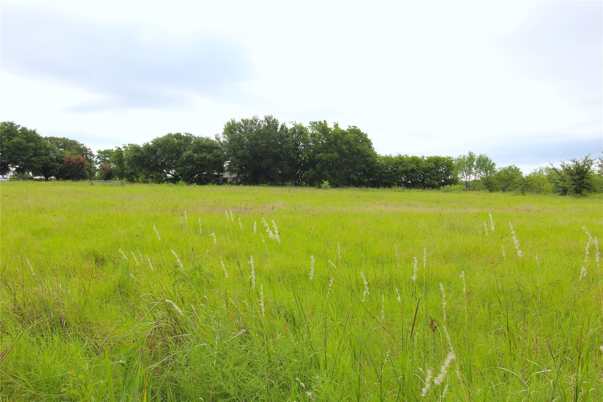 TBD CR-4079, Scurry, TX, 75158