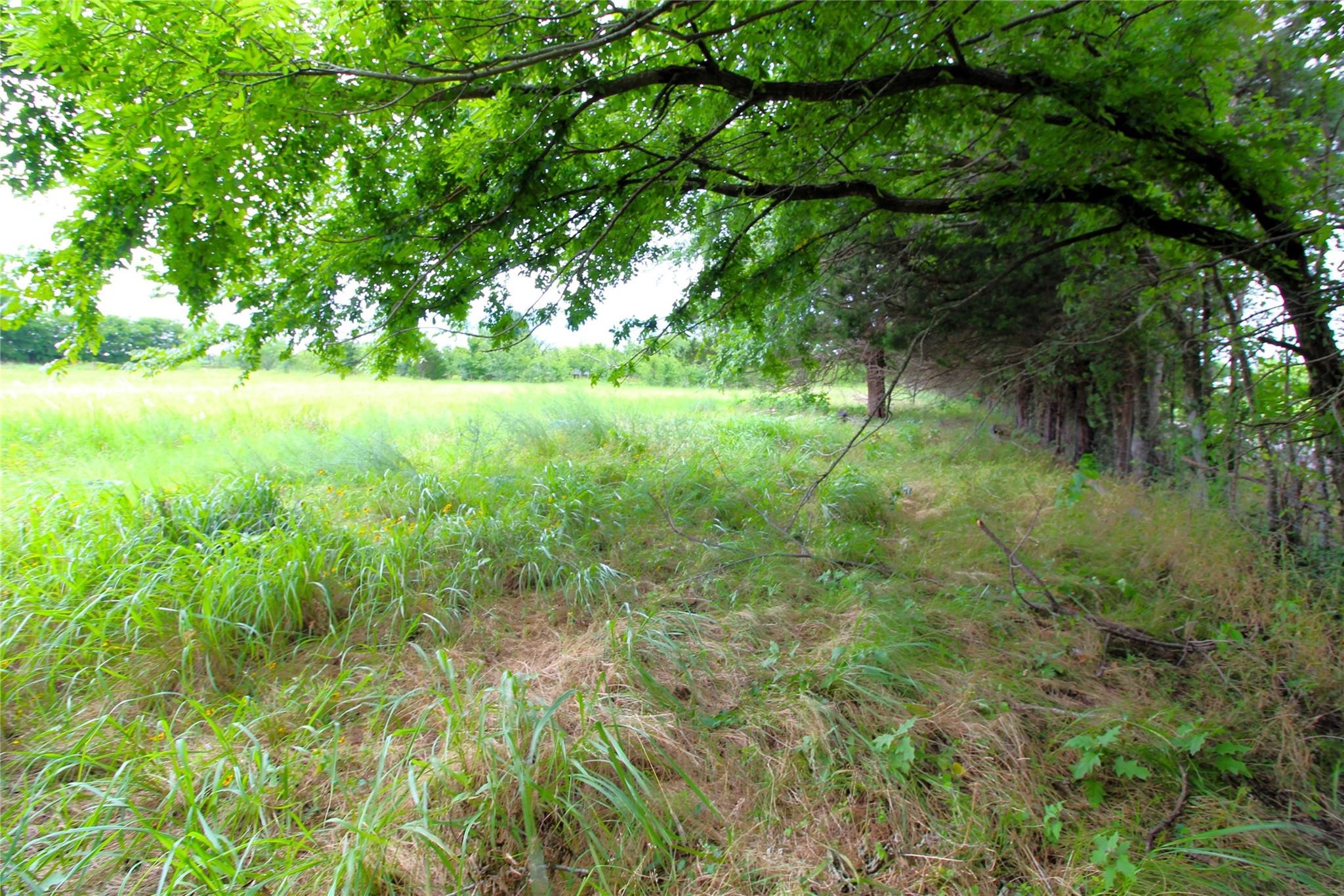 TBD CR-4079, Scurry, TX, 75158