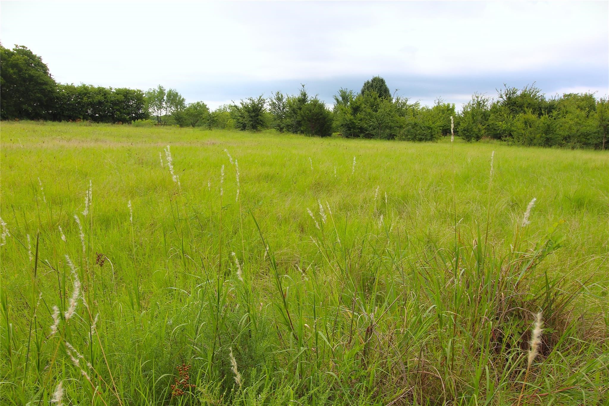 TBD CR-4079, Scurry, TX, 75158