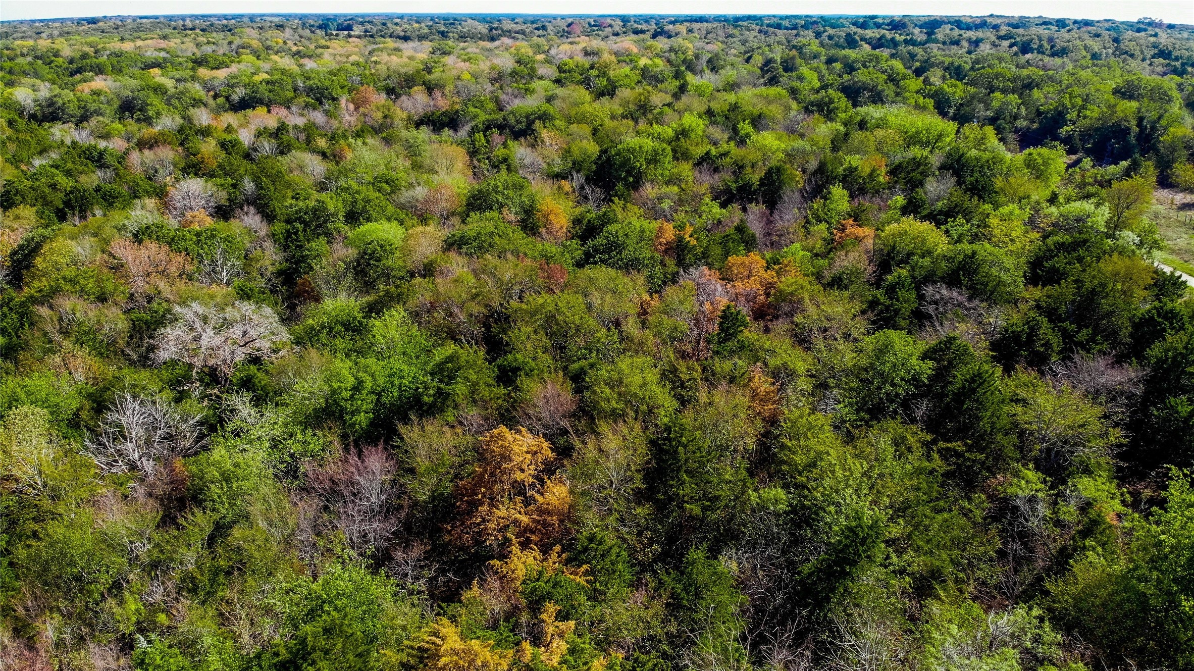 Property photo 03 of Lot 12 SE County Road 2370, Streetman, TX 75859 | MLS #21149559