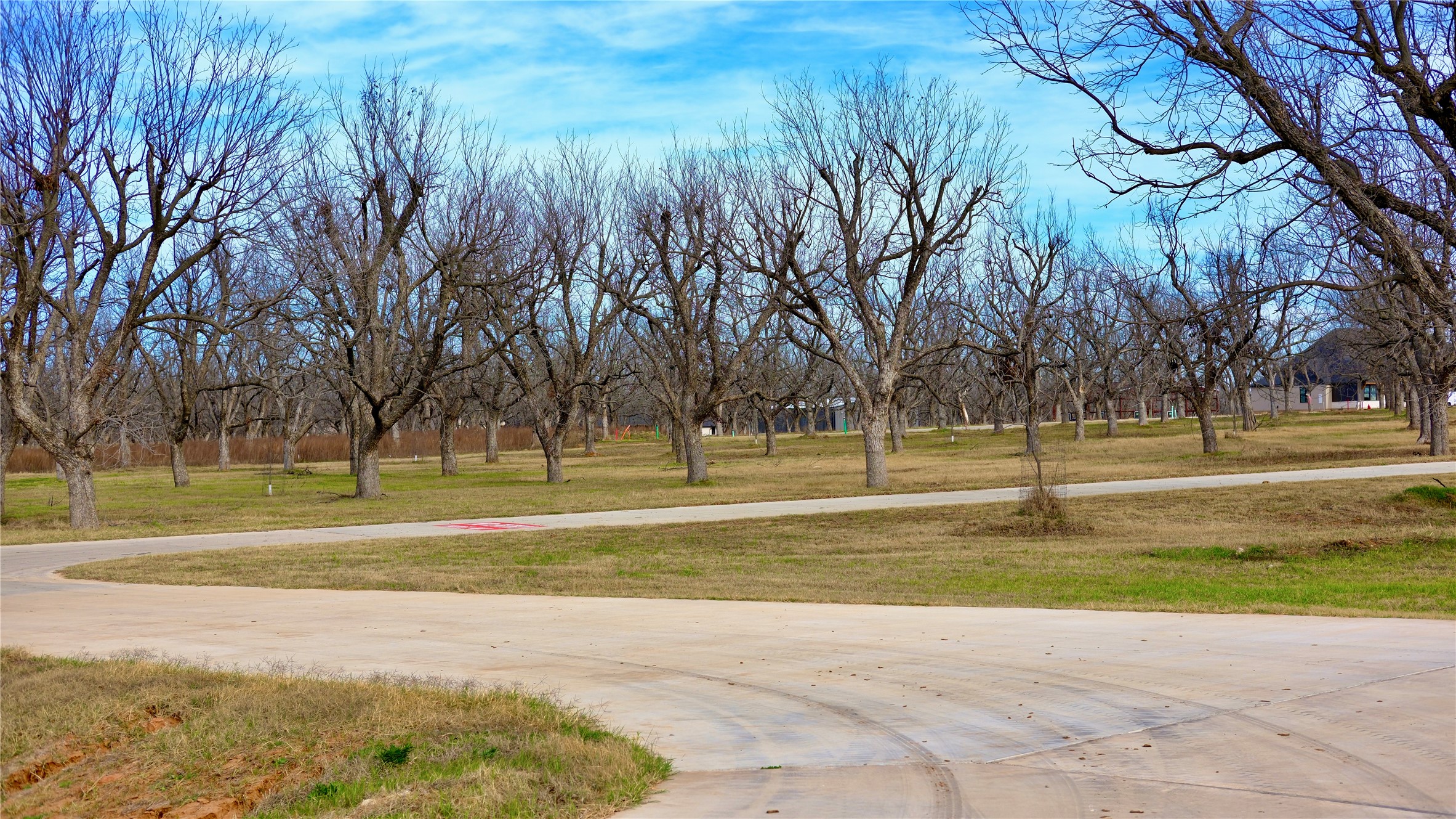 Property photo 03 of 1700 Cirrus Loop, Granbury, TX 76049 | MLS #21149723