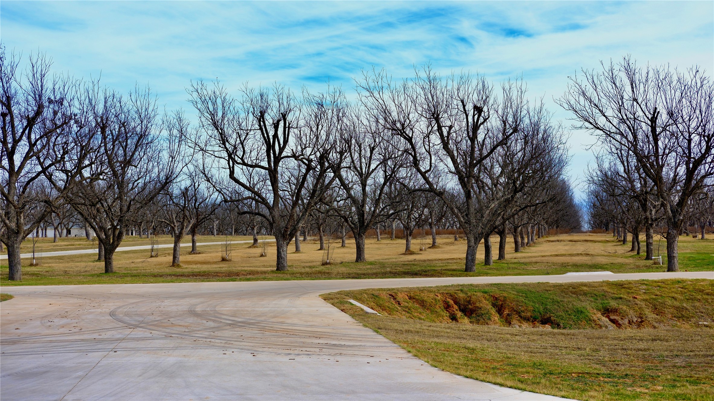 Property photo 04 of 1700 Cirrus Loop, Granbury, TX 76049 | MLS #21149723