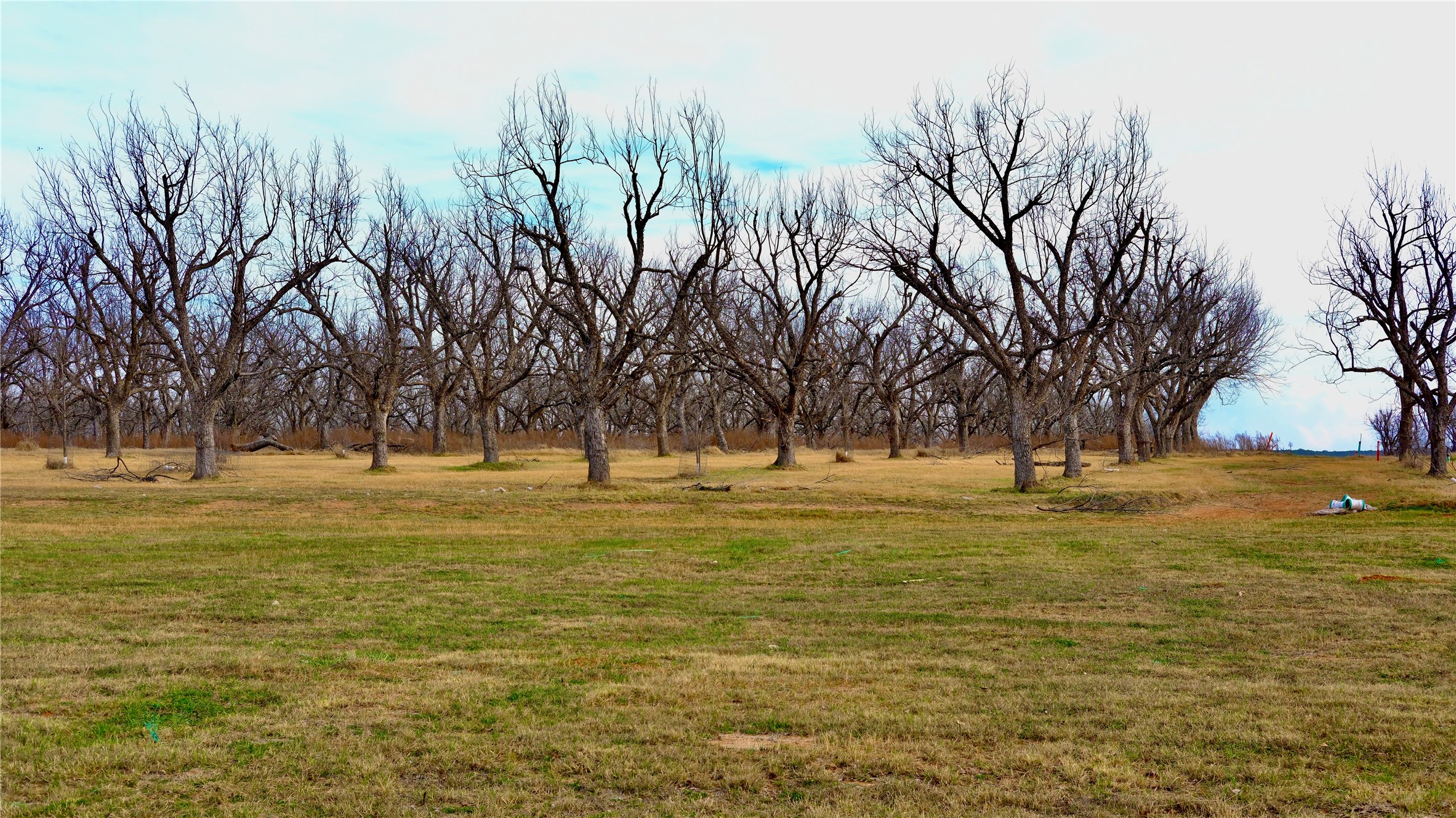 1700 Cirrus Loop, Granbury, TX, 76049