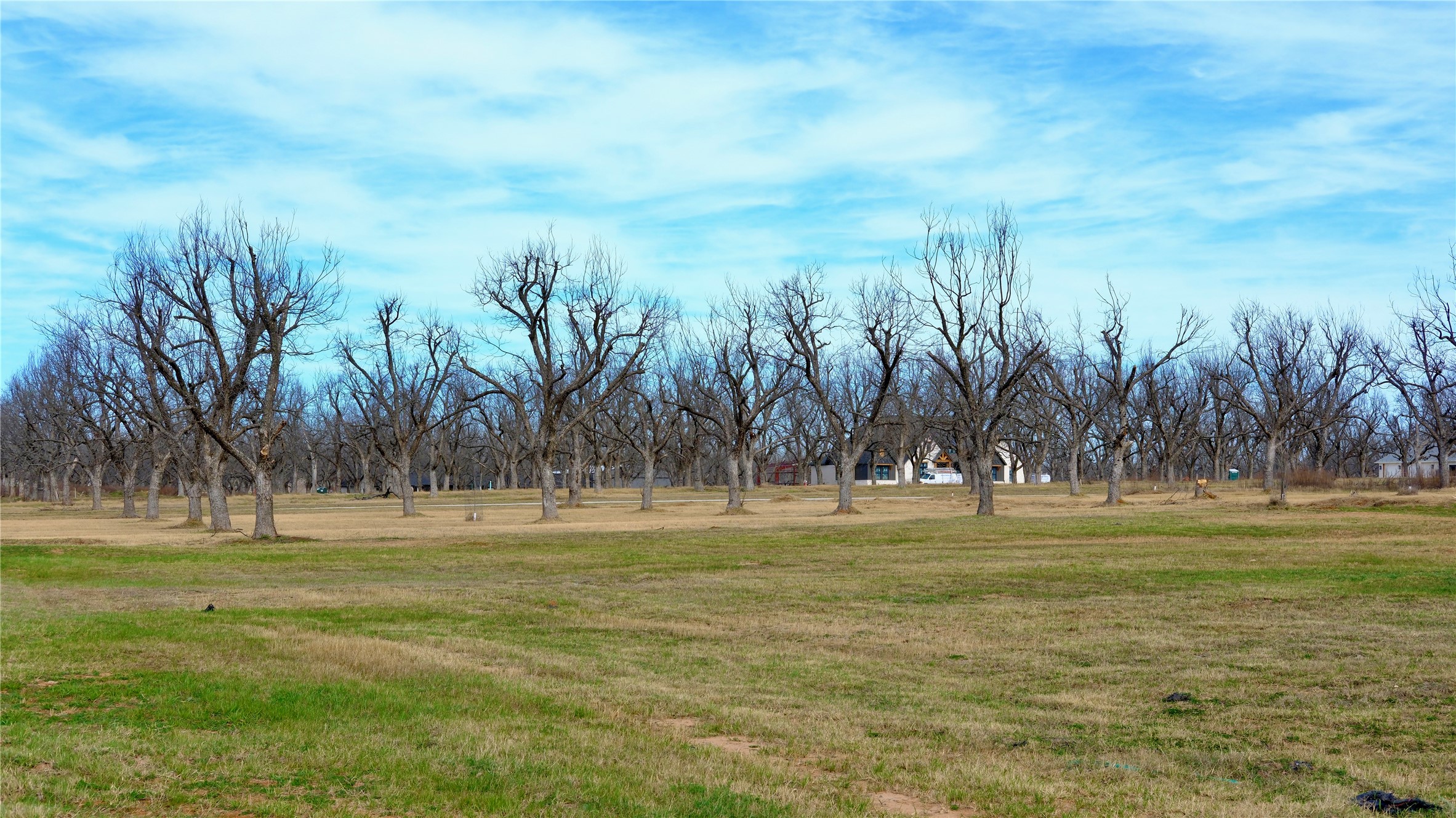 1700 Cirrus Loop, Granbury, TX, 76049
