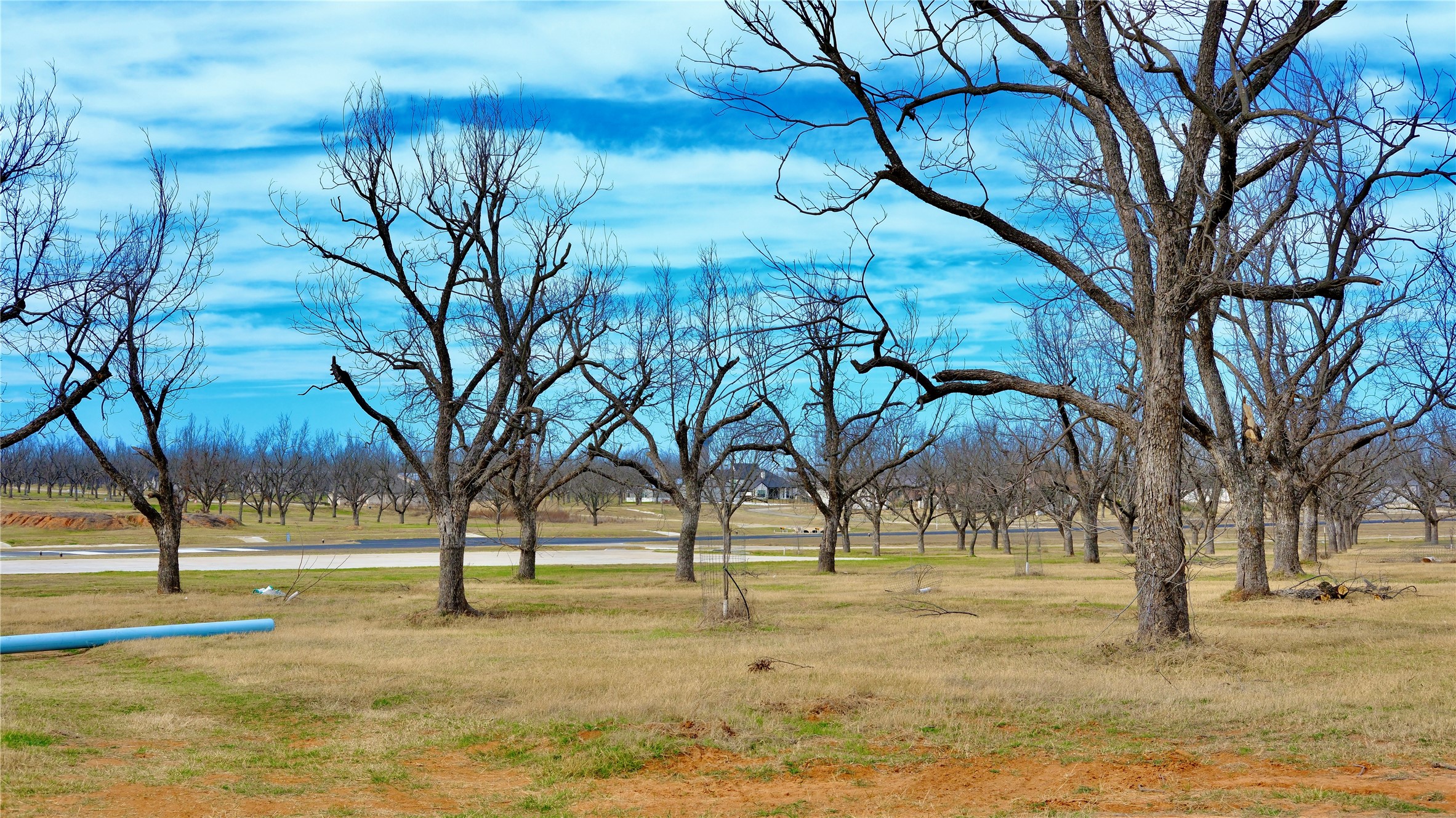 1700 Cirrus Loop, Granbury, TX, 76049