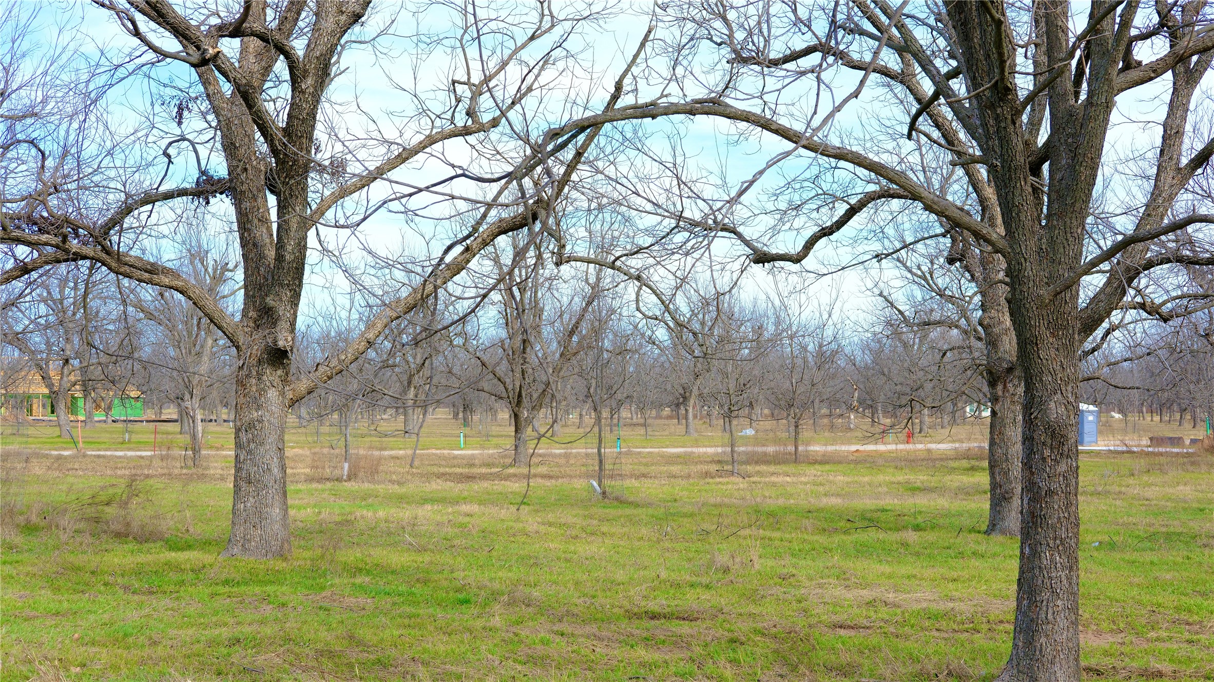 1700 Cirrus Loop, Granbury, TX, 76049