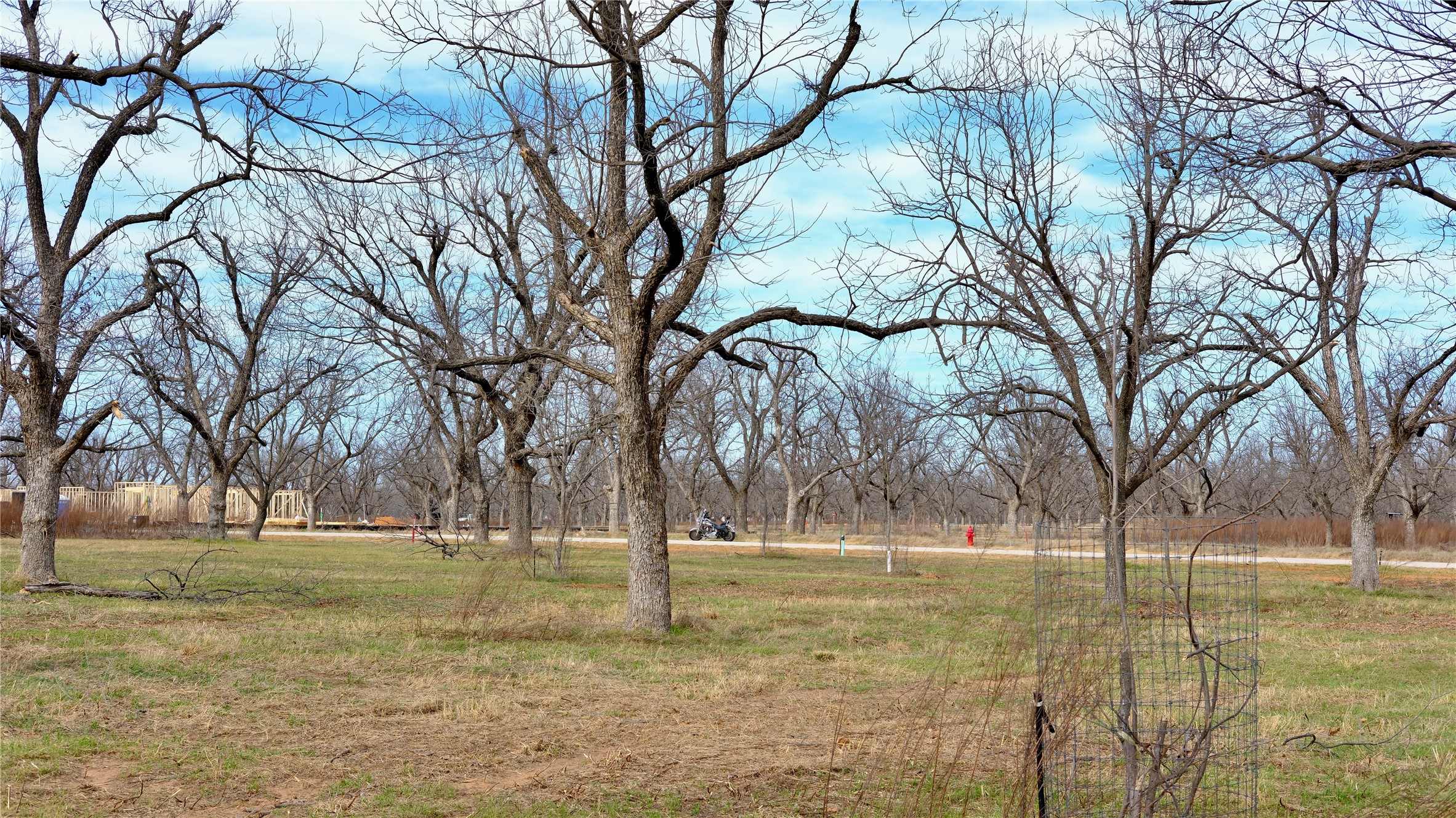 1700 Cirrus Loop, Granbury, TX, 76049