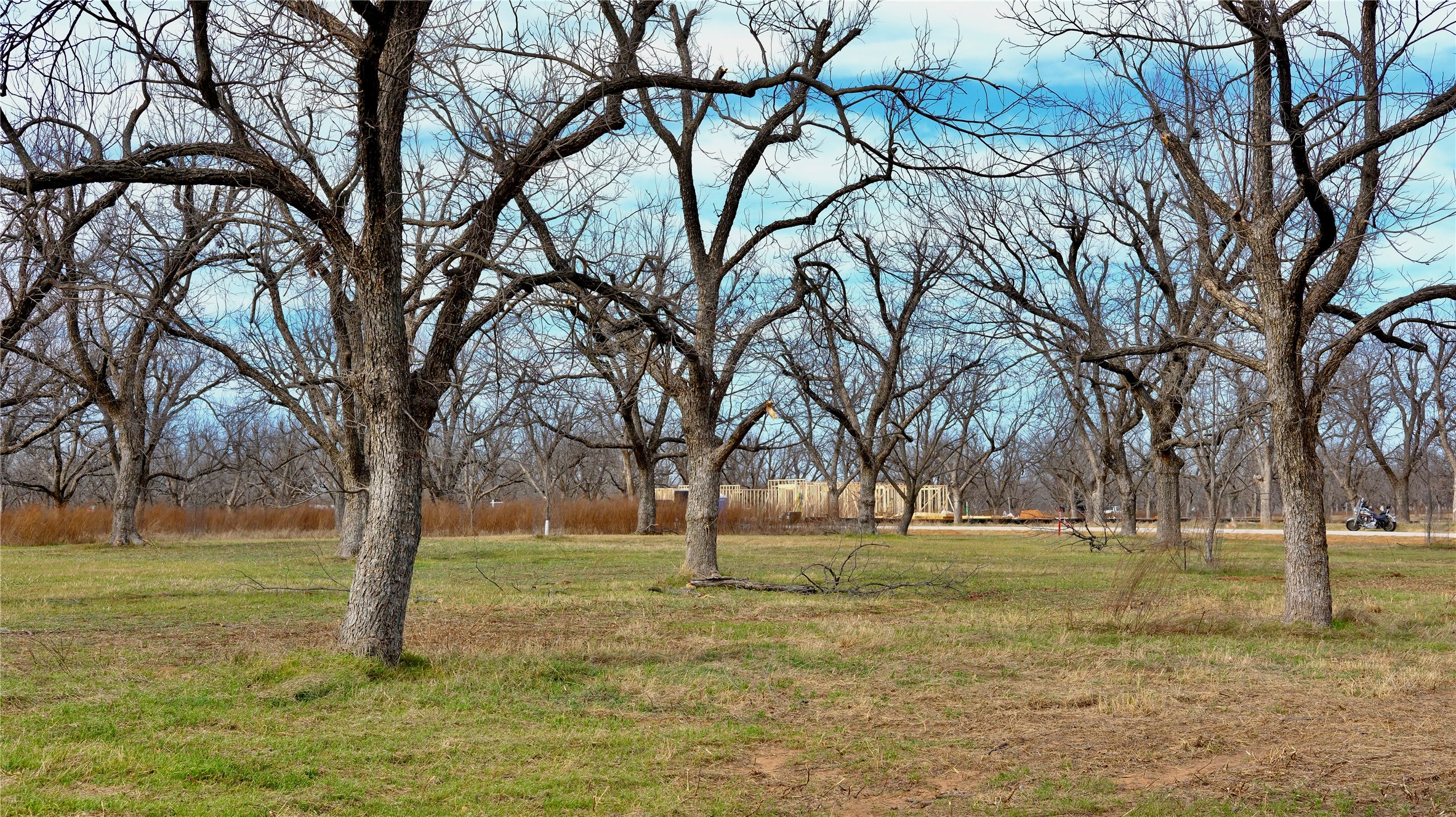 1700 Cirrus Loop, Granbury, TX, 76049