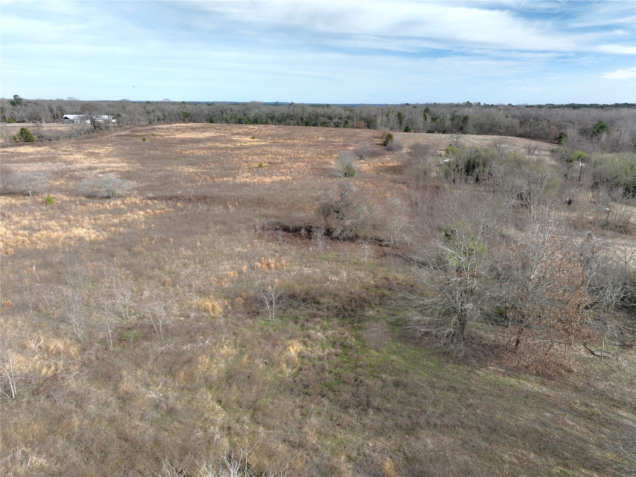 TBD County Road 3250, Quitman, TX, 75783