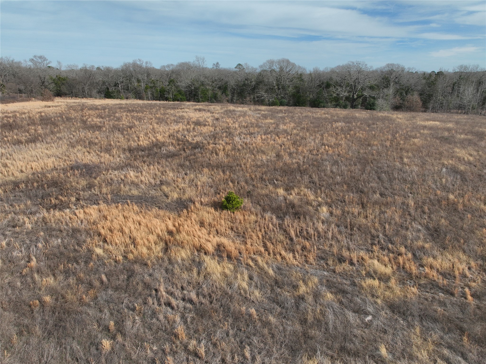 TBD County Road 3250, Quitman, TX, 75783