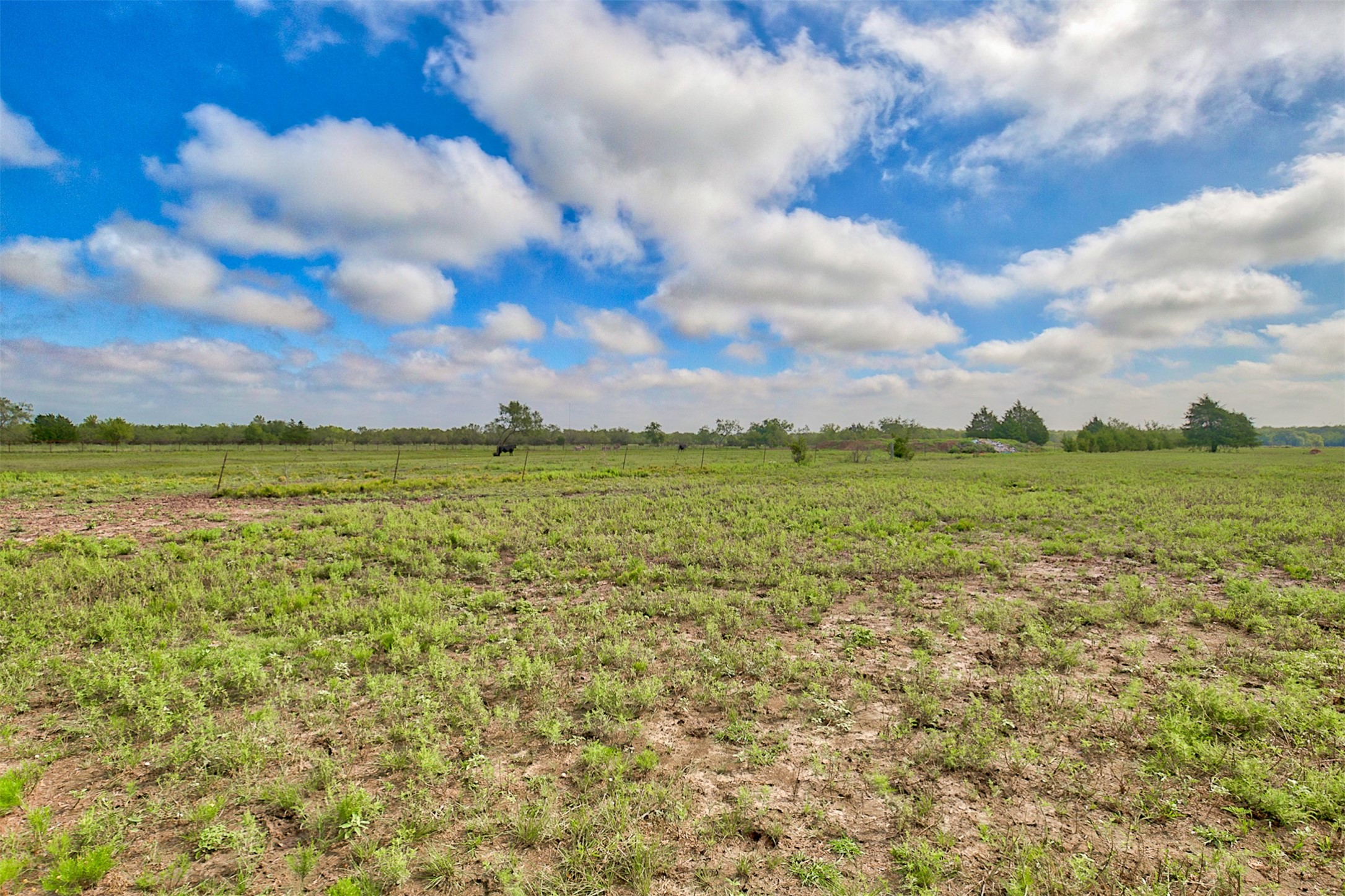 0 Palmer Lane, Oak Grove, TX, 75142