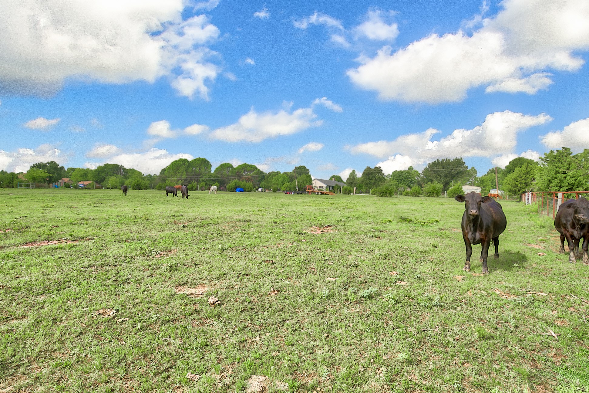 0 Palmer Lane, Oak Grove, TX, 75142
