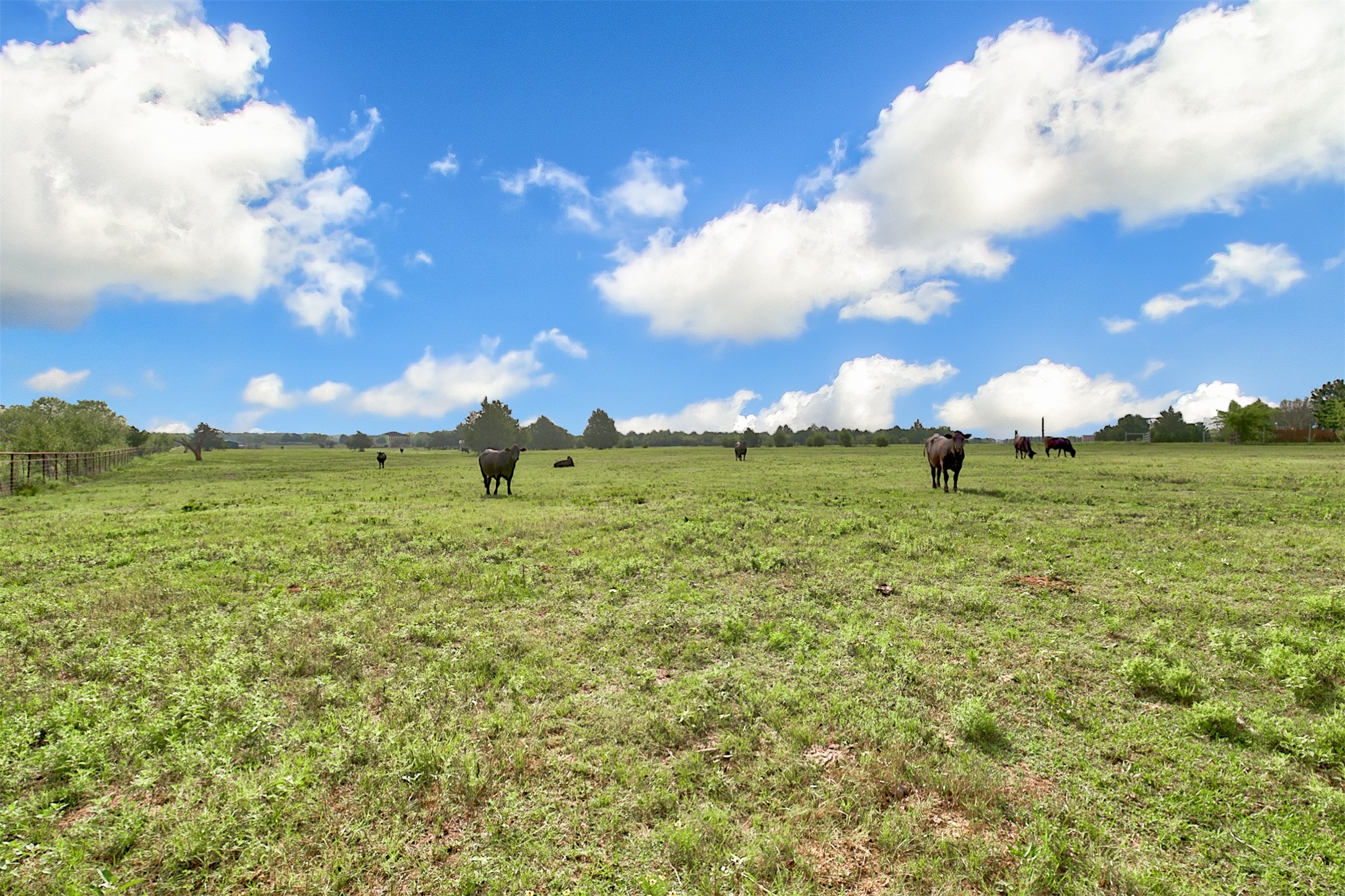 0 Palmer Lane, Oak Grove, TX, 75142