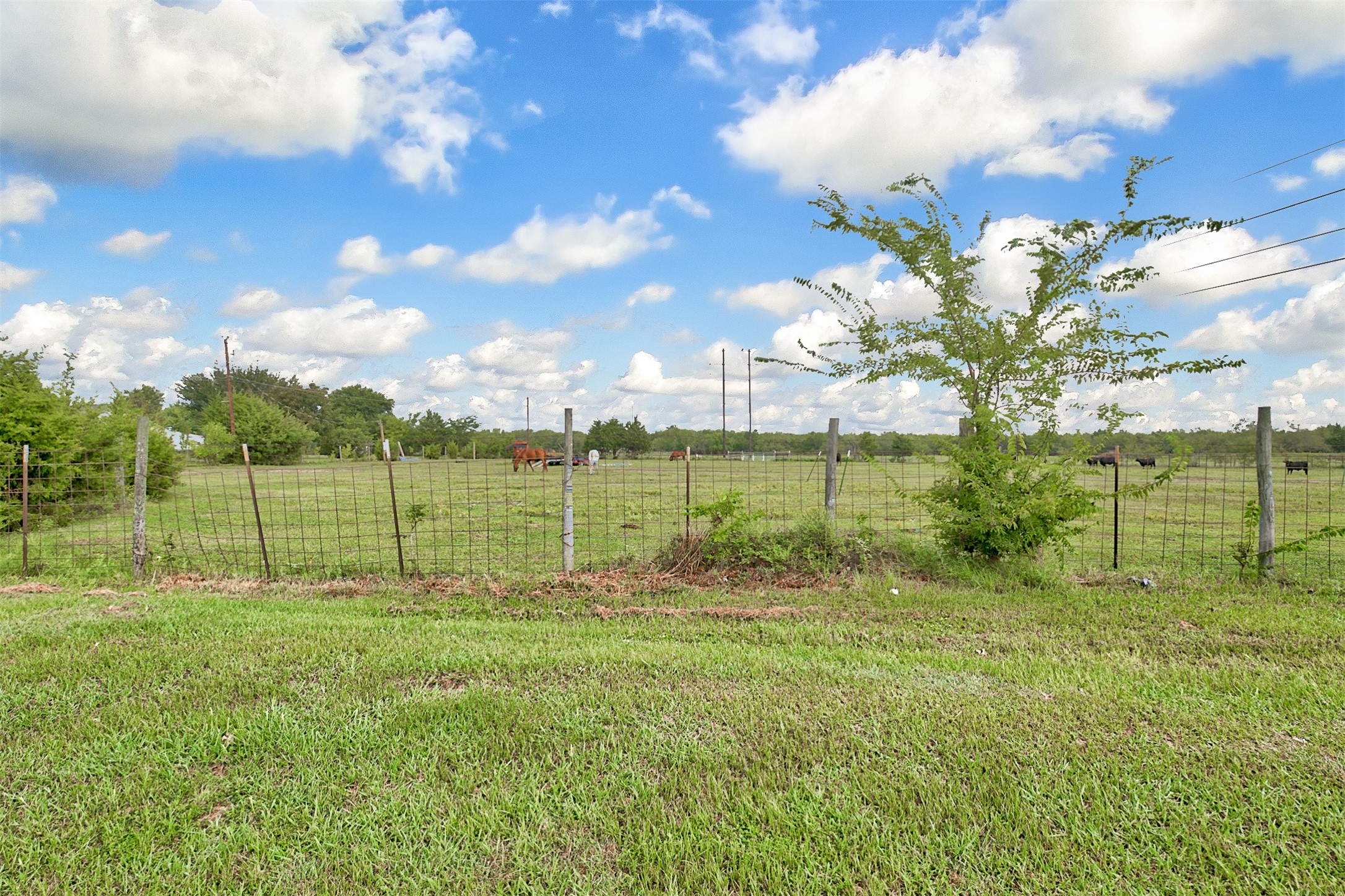 0 Palmer Lane, Oak Grove, TX, 75142