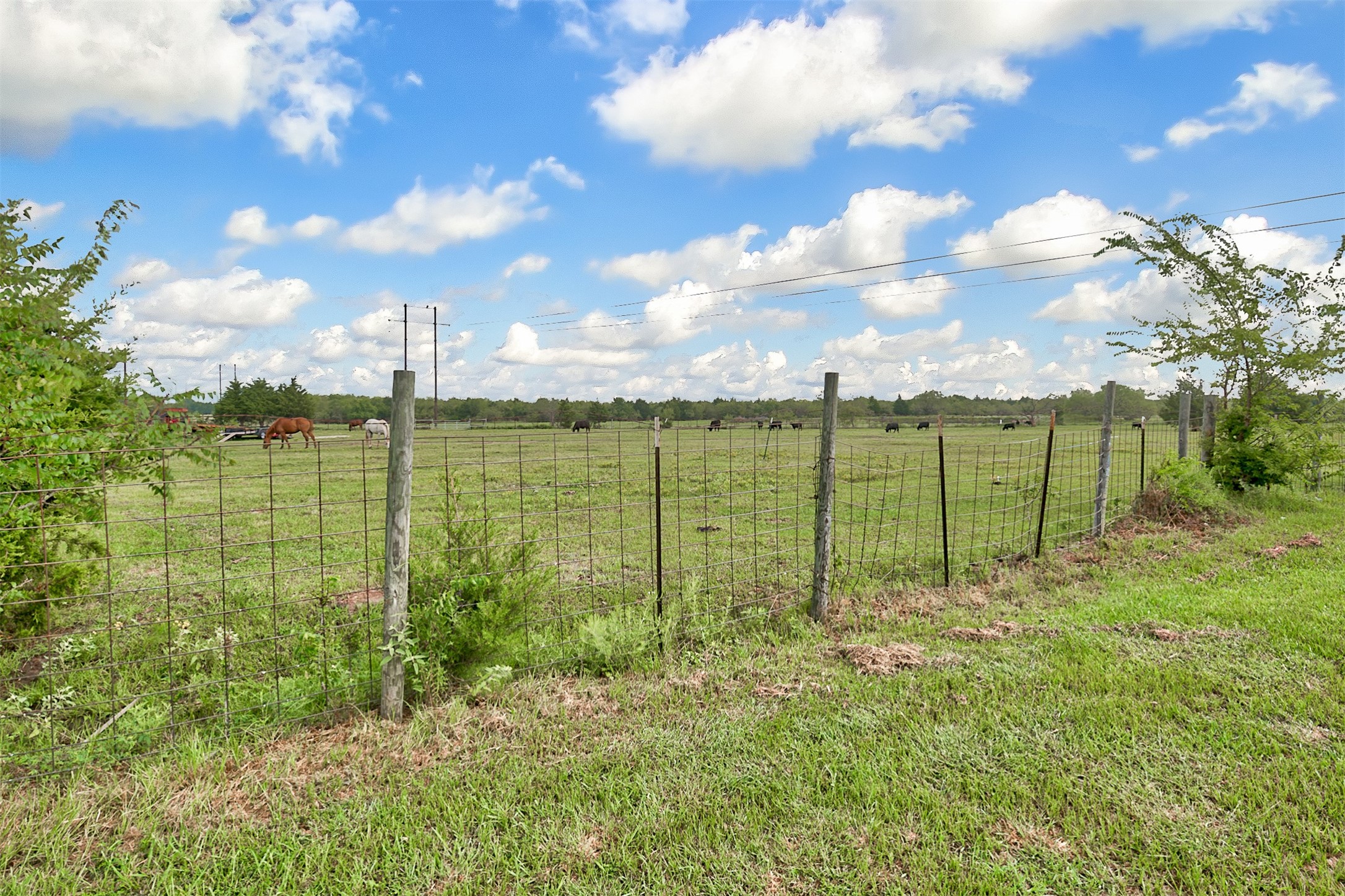 0 Palmer Lane, Oak Grove, TX, 75142