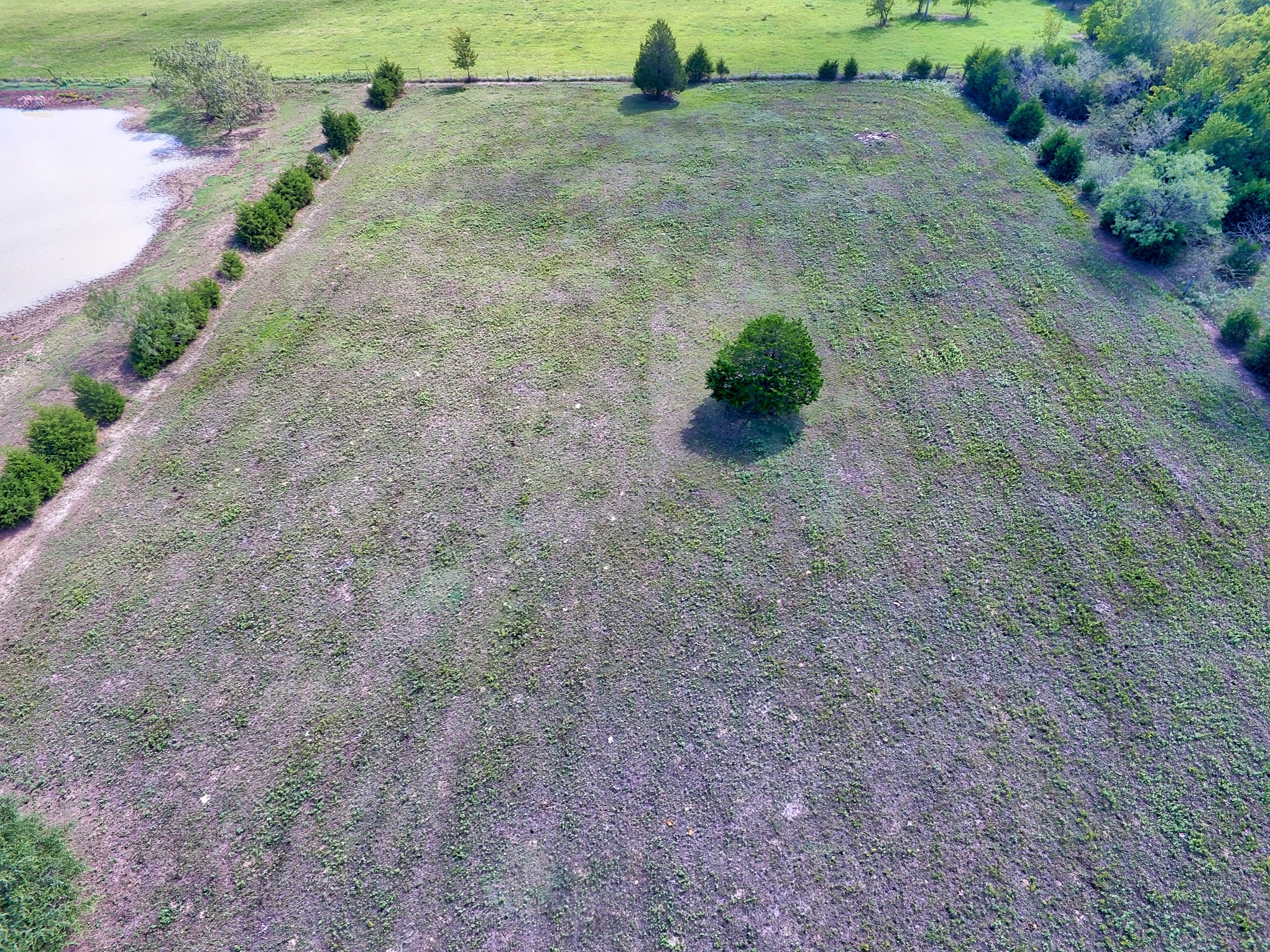 0 Palmer Lane, Oak Grove, TX, 75142