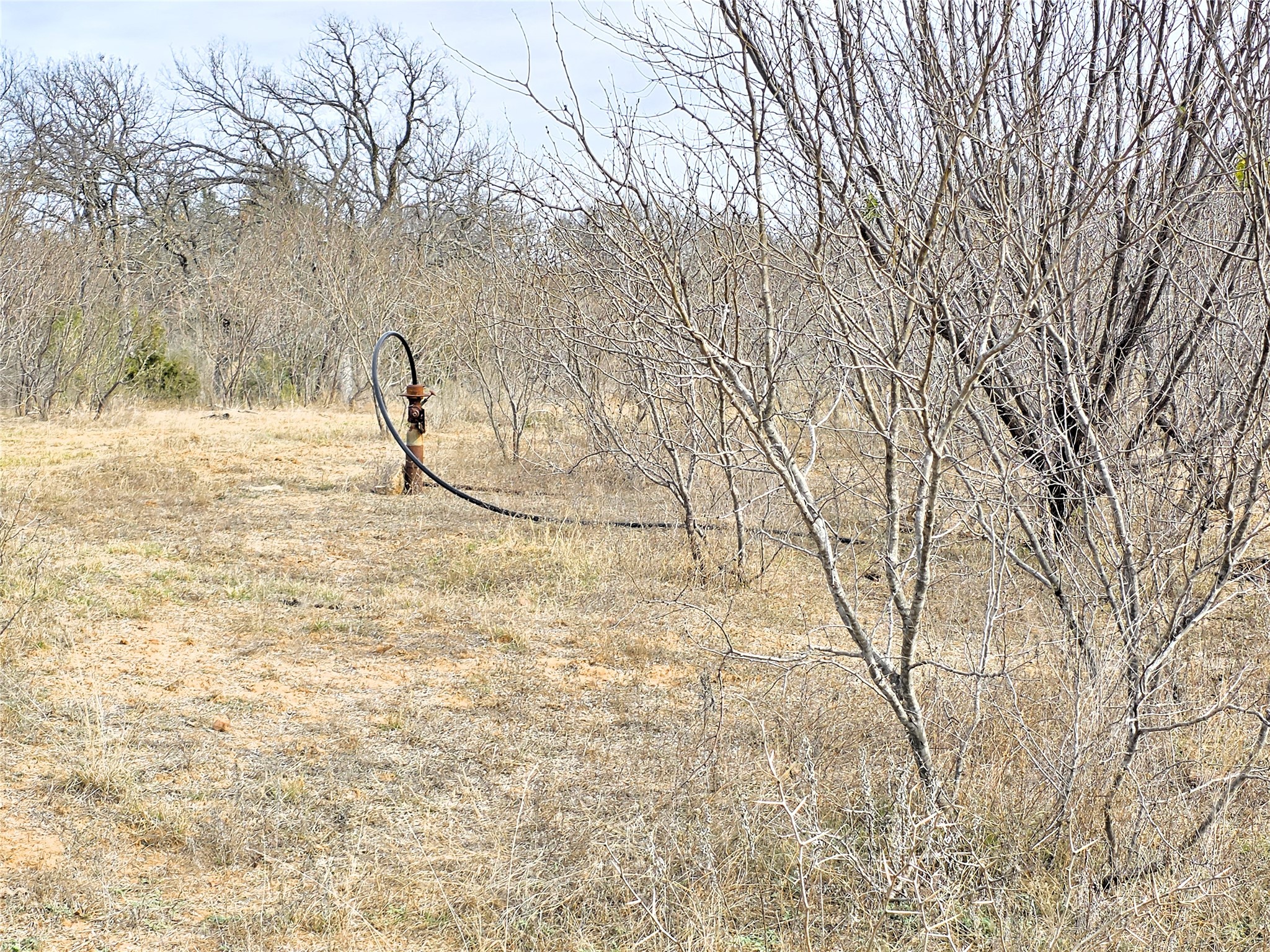 4451 Fm 585, Bangs, TX, 76823